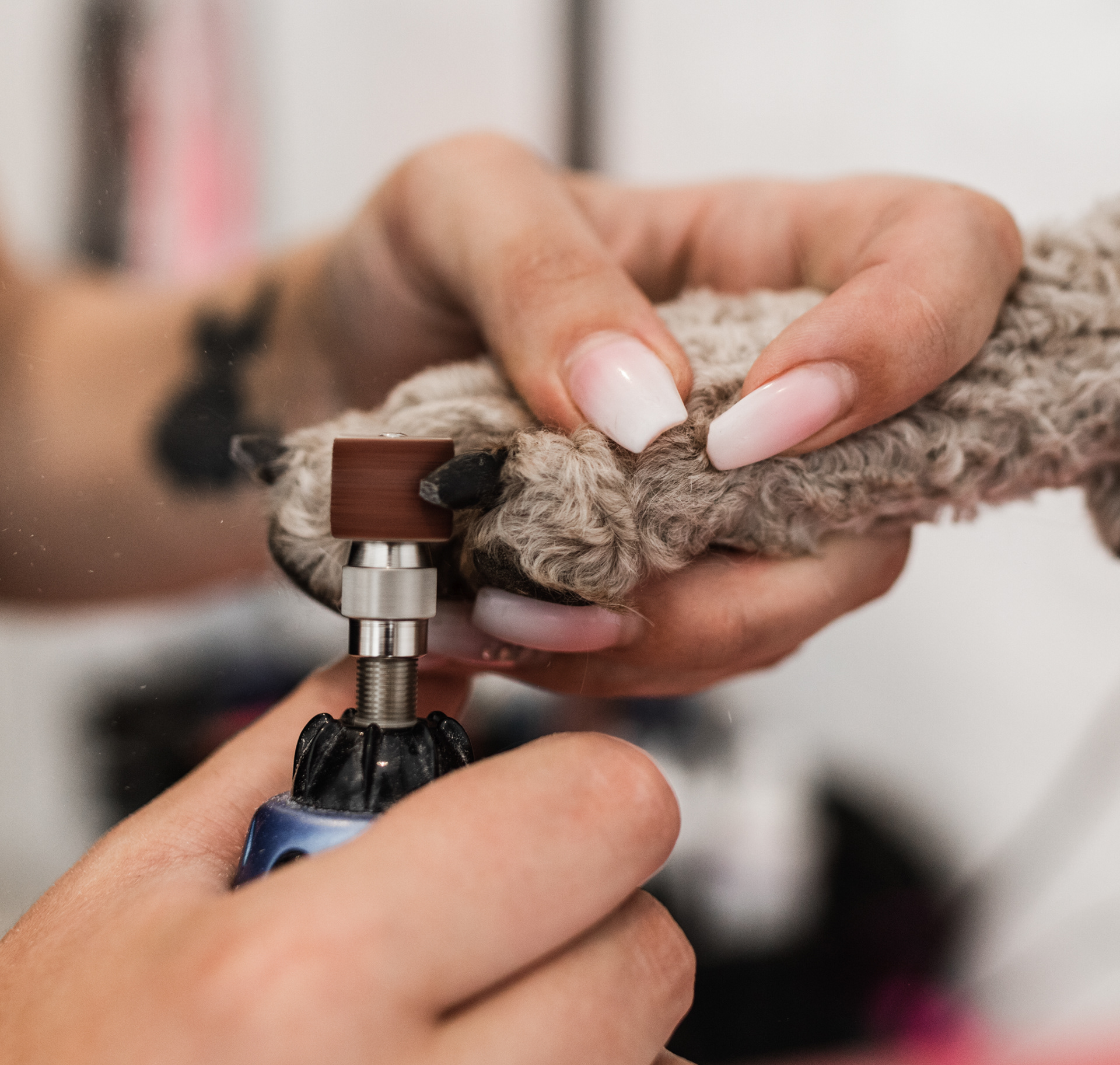 Ronja & Rockys Pet Salon