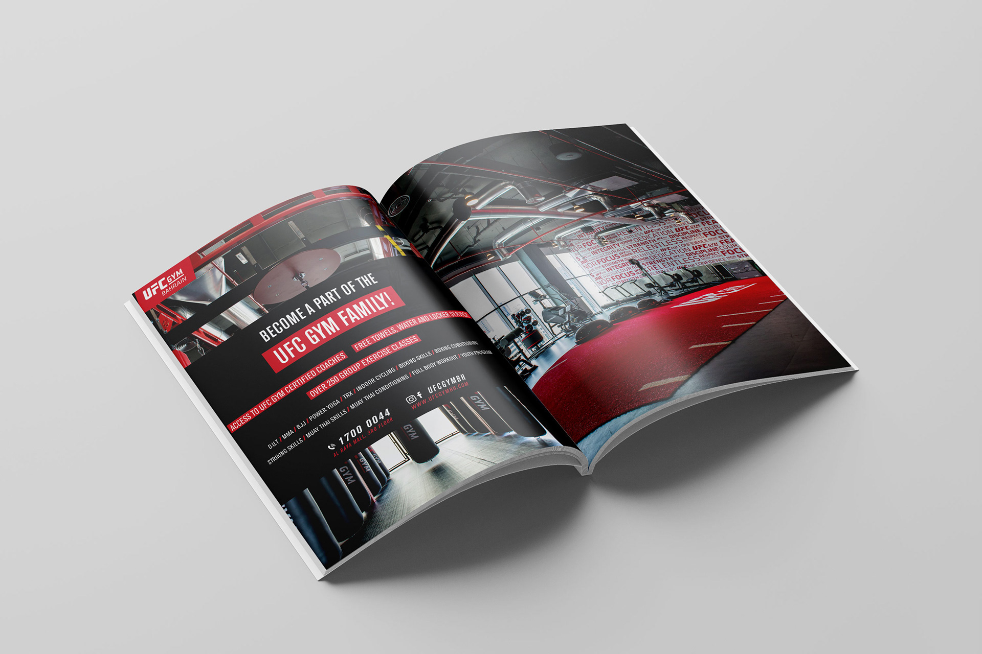 Magazine Advertisements