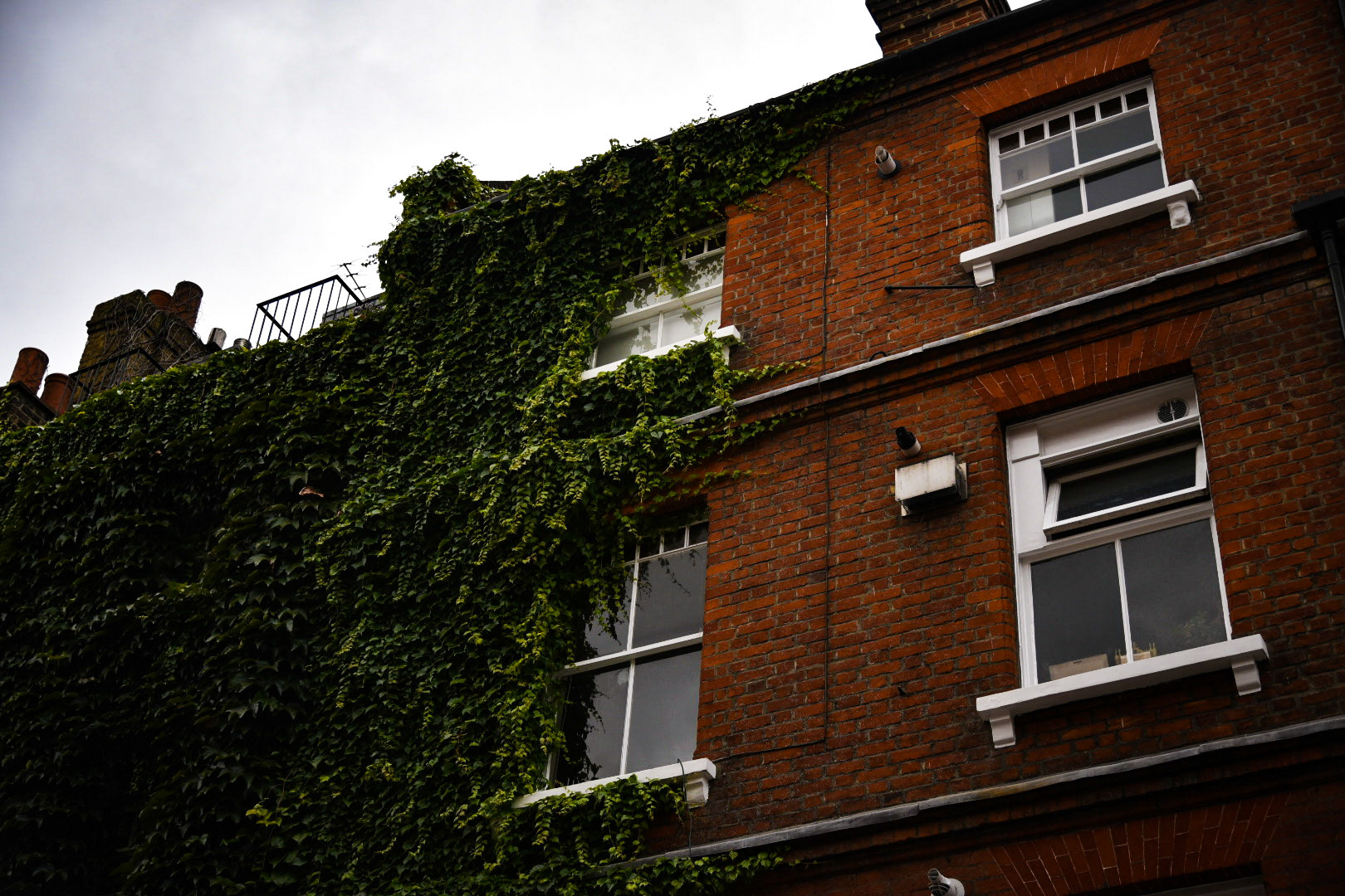 Brick and Ivy