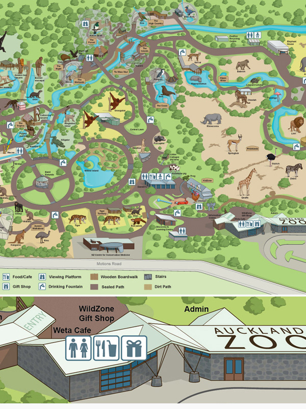 Chris Davidson illustration - Auckland Zoo