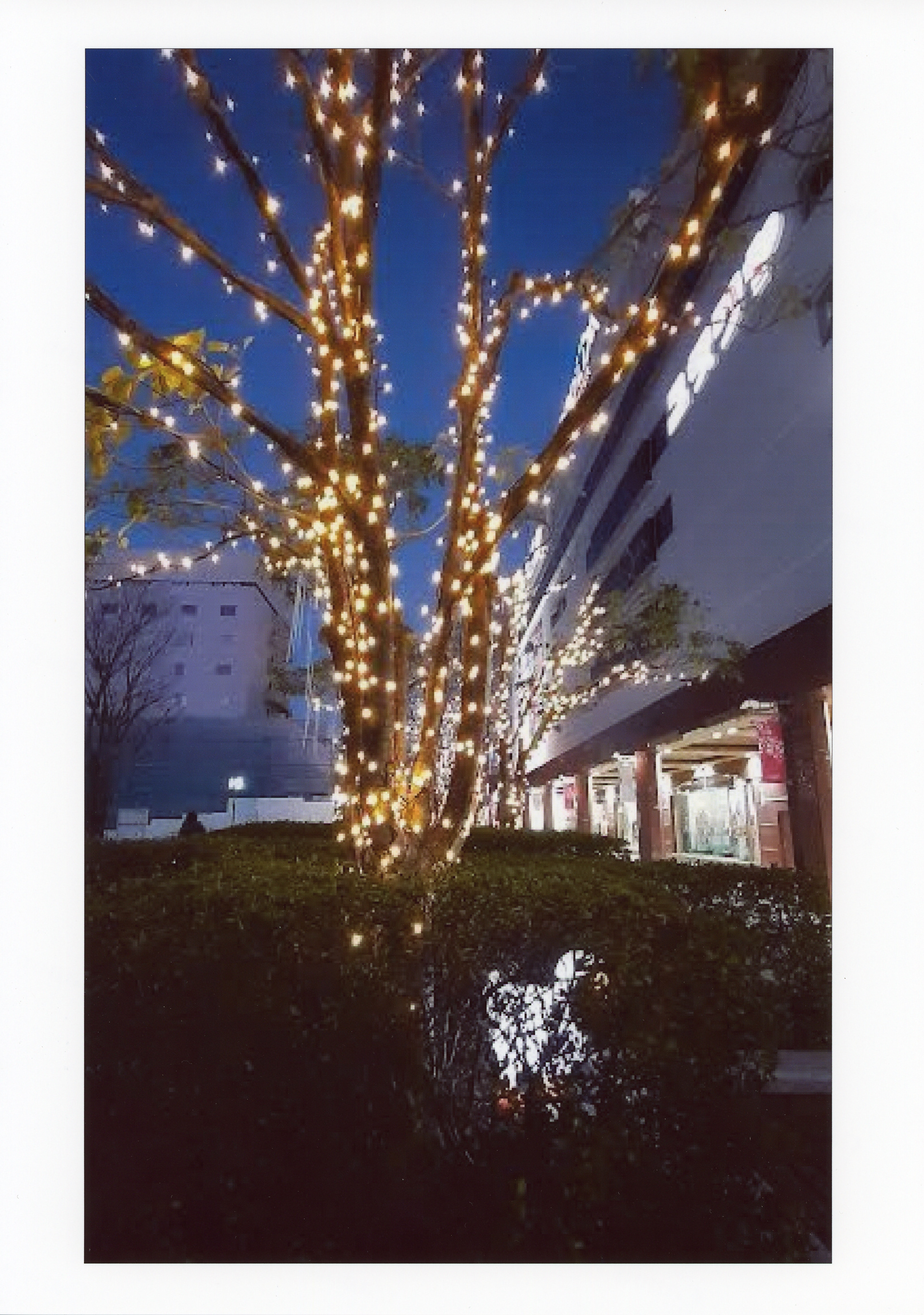 プリント部門「かくれんぼ」