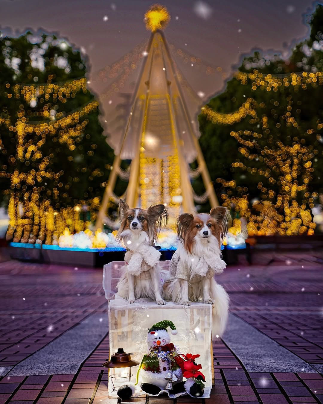 【SNS部門】「🌟幸せのクリスマスタワー🎄🌟」