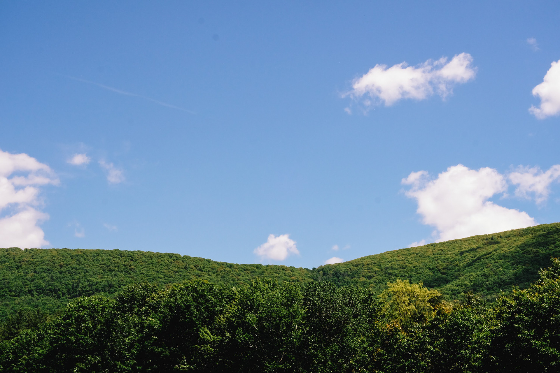 Catskills 2022