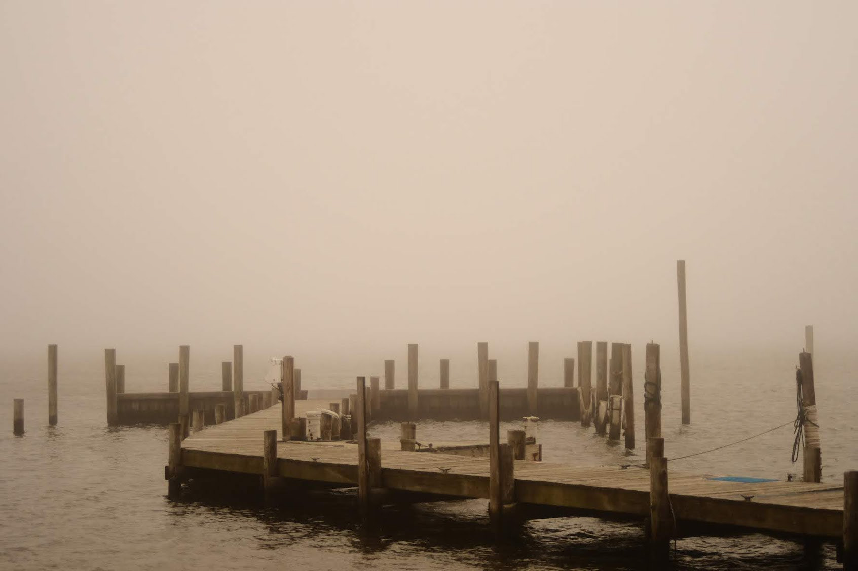 Bellport, Long Island 2020