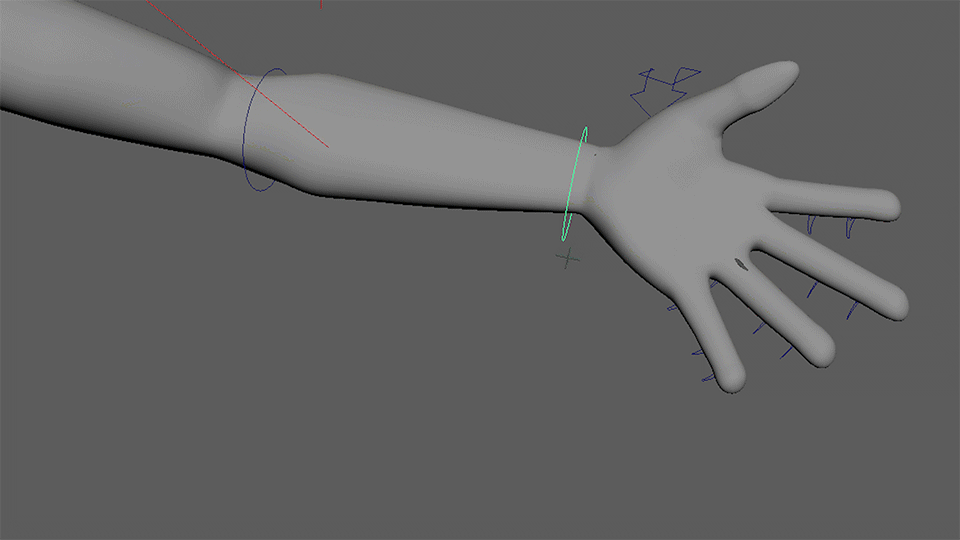 Final arm model/rig/animation - pinch & grasp