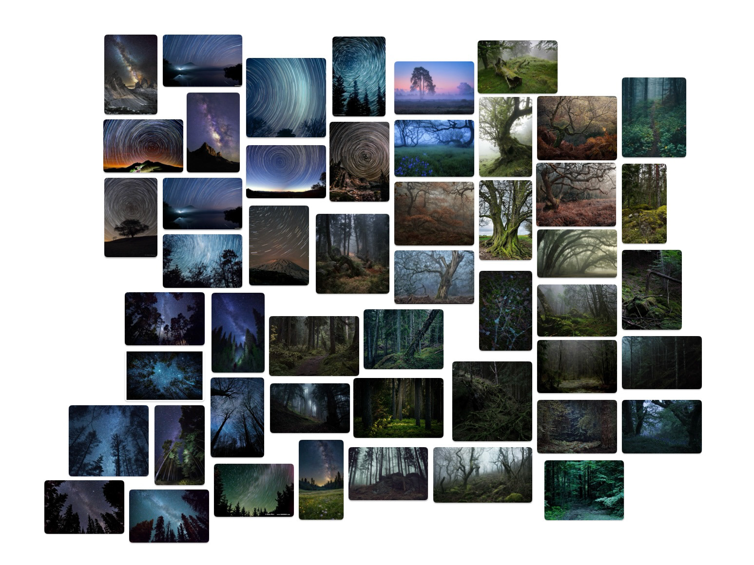 Moodboard (images are from the internet)