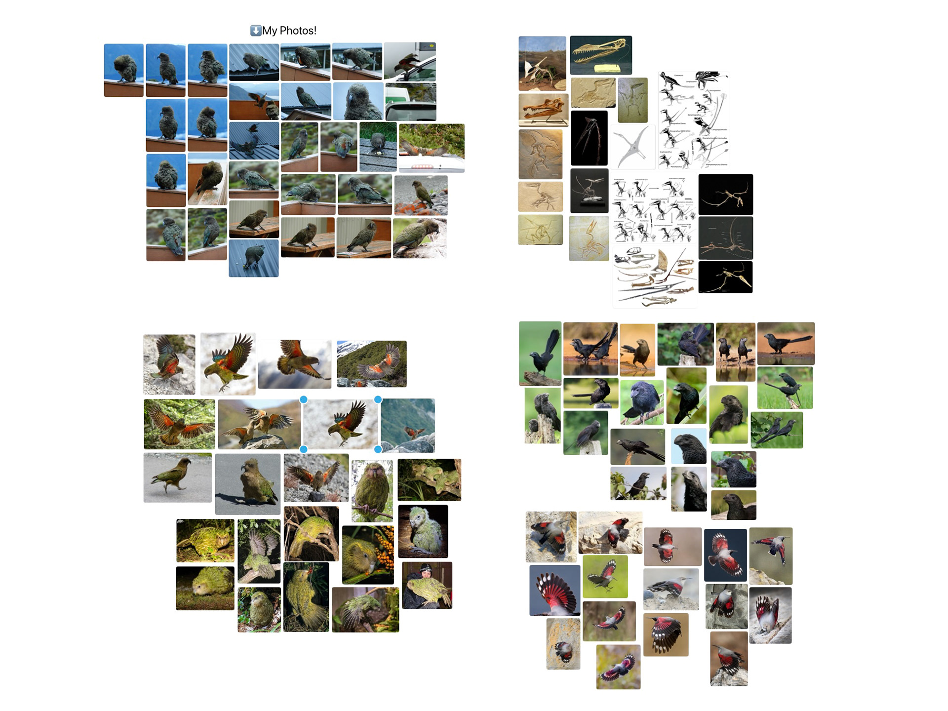 Moodboard (photos were collected from the internet & taken by me) )