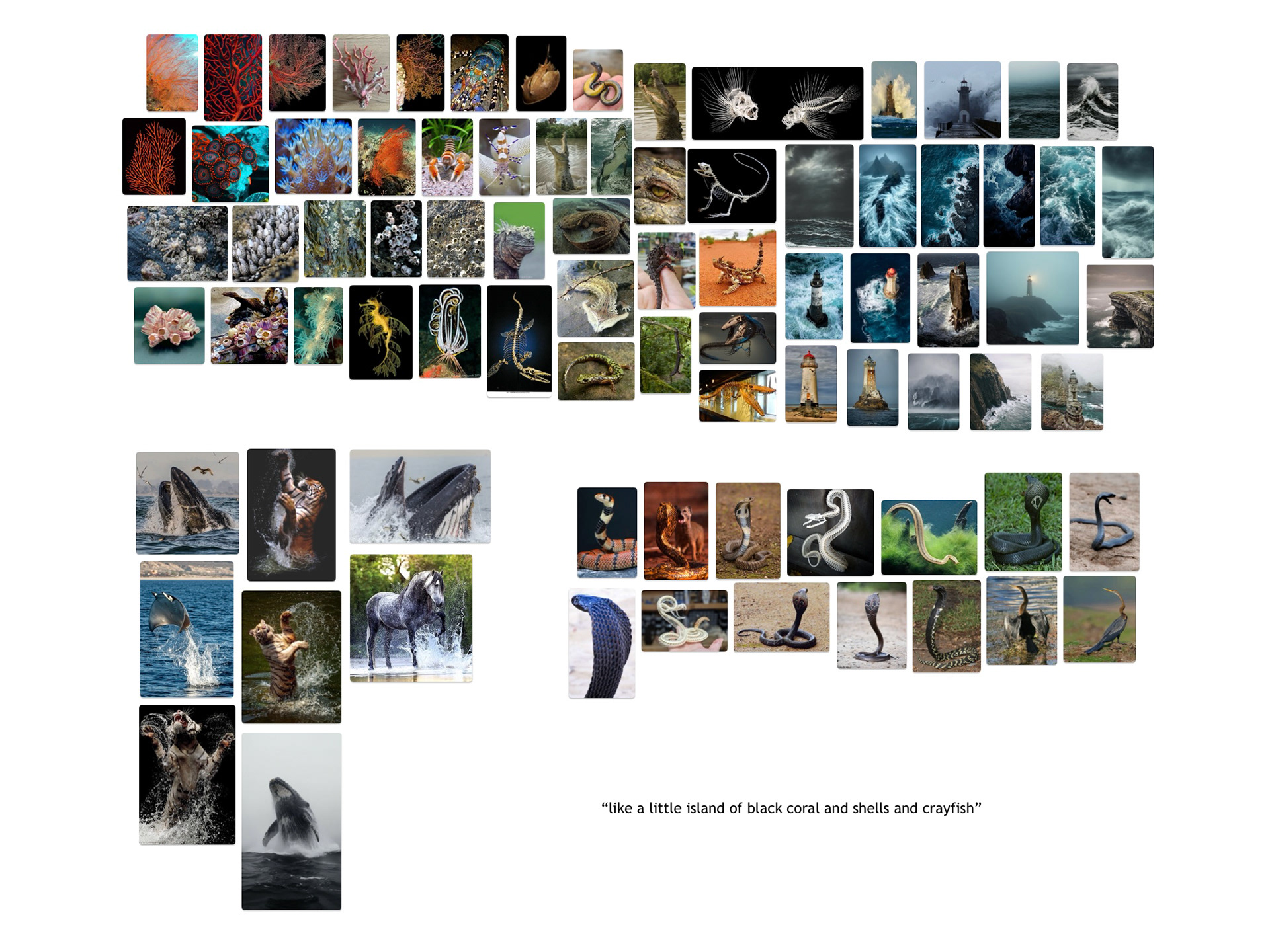 Moodboard (images are from the internet)