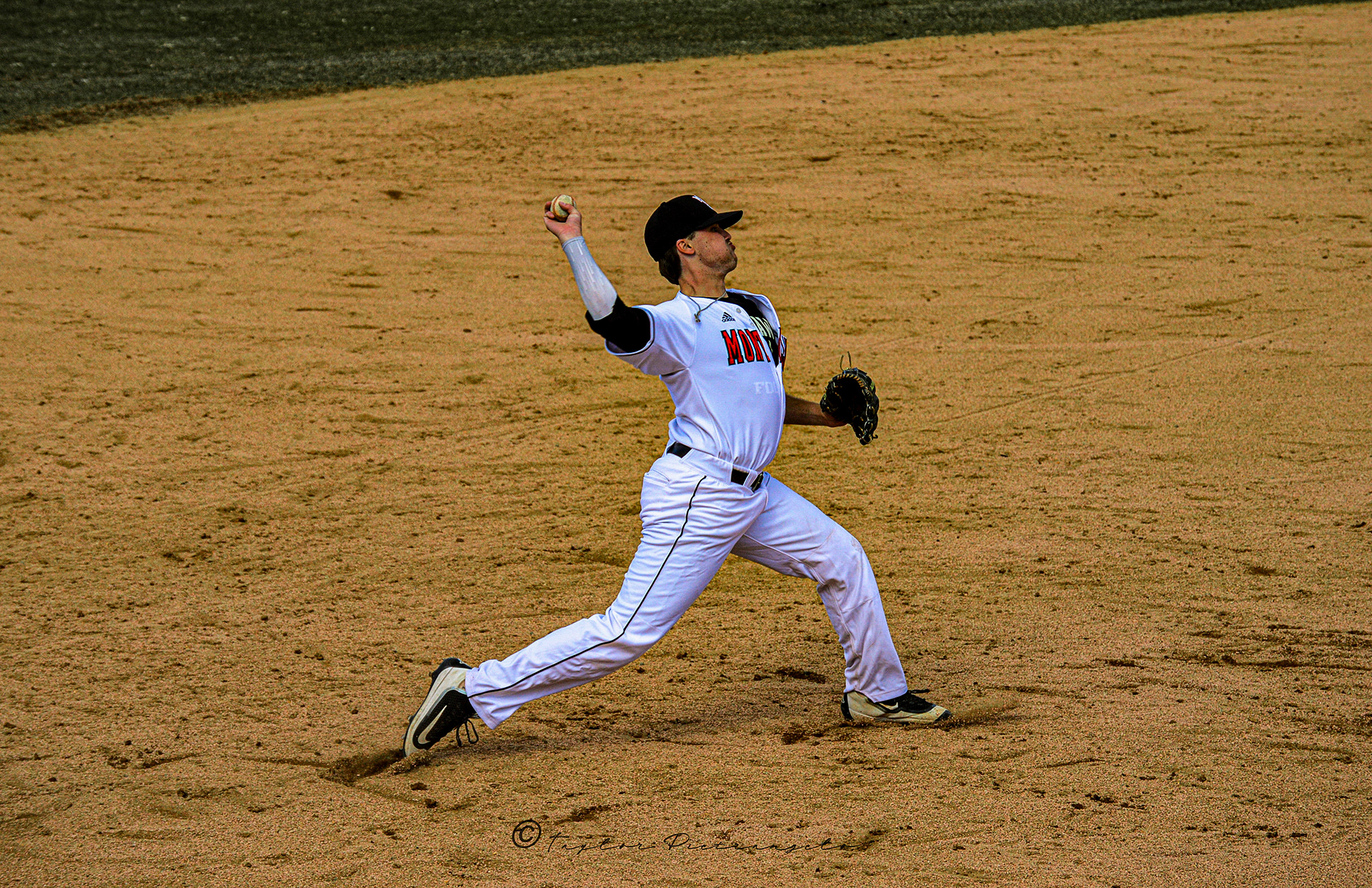 (C) COPYRIGHT 2019 TAYLOR M PIETRANGELO_MSU Baseball All Rights Reserved