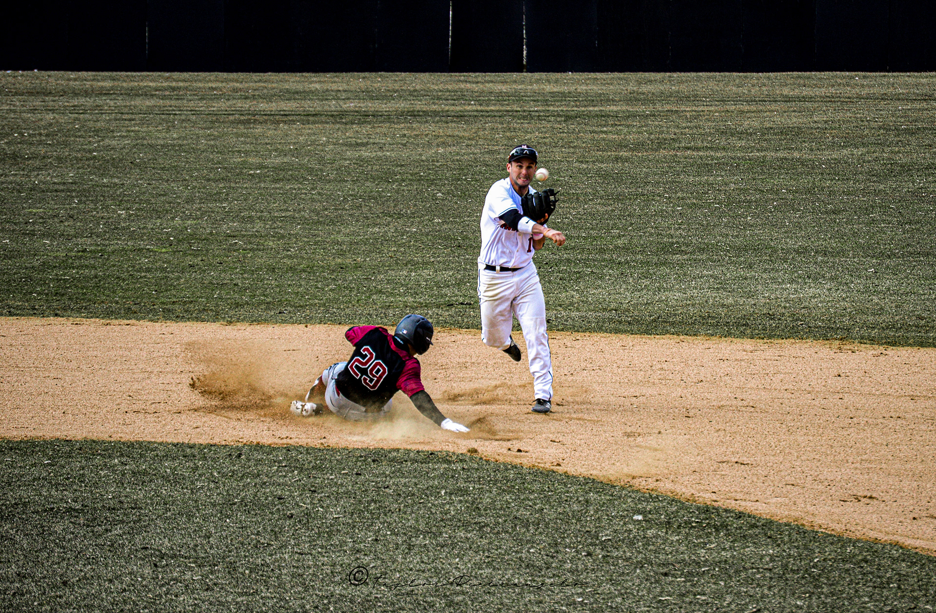 (C) COPYRIGHT 2019 TAYLOR M PIETRANGELO_MSU Baseball All Rights Reserved