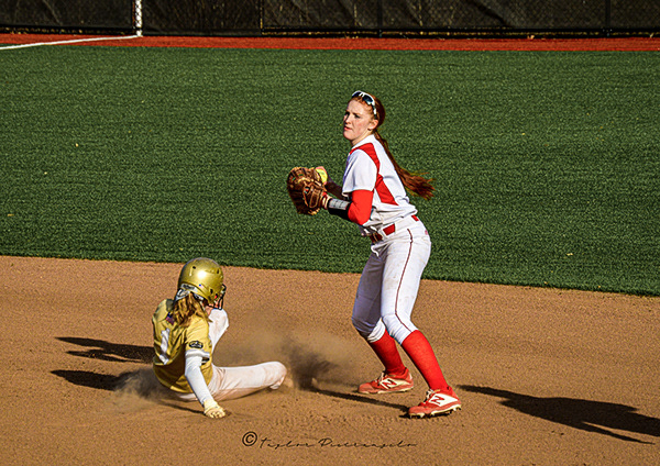 (C) COPYRIGHT 2019 TAYLOR M PIETRANGELO_MSU Baseball All Rights Reserved