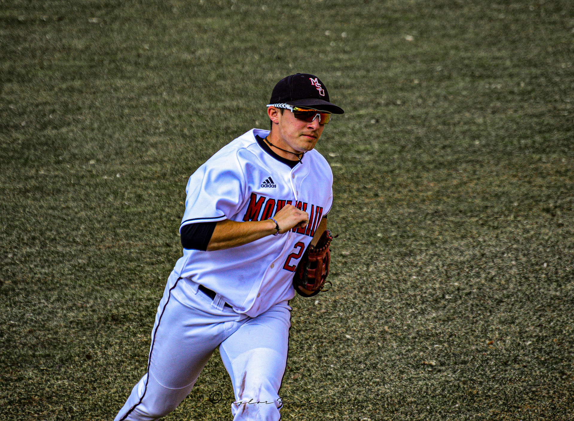 (C) COPYRIGHT 2019 TAYLOR M PIETRANGELO_MSU Baseball All Rights Reserved