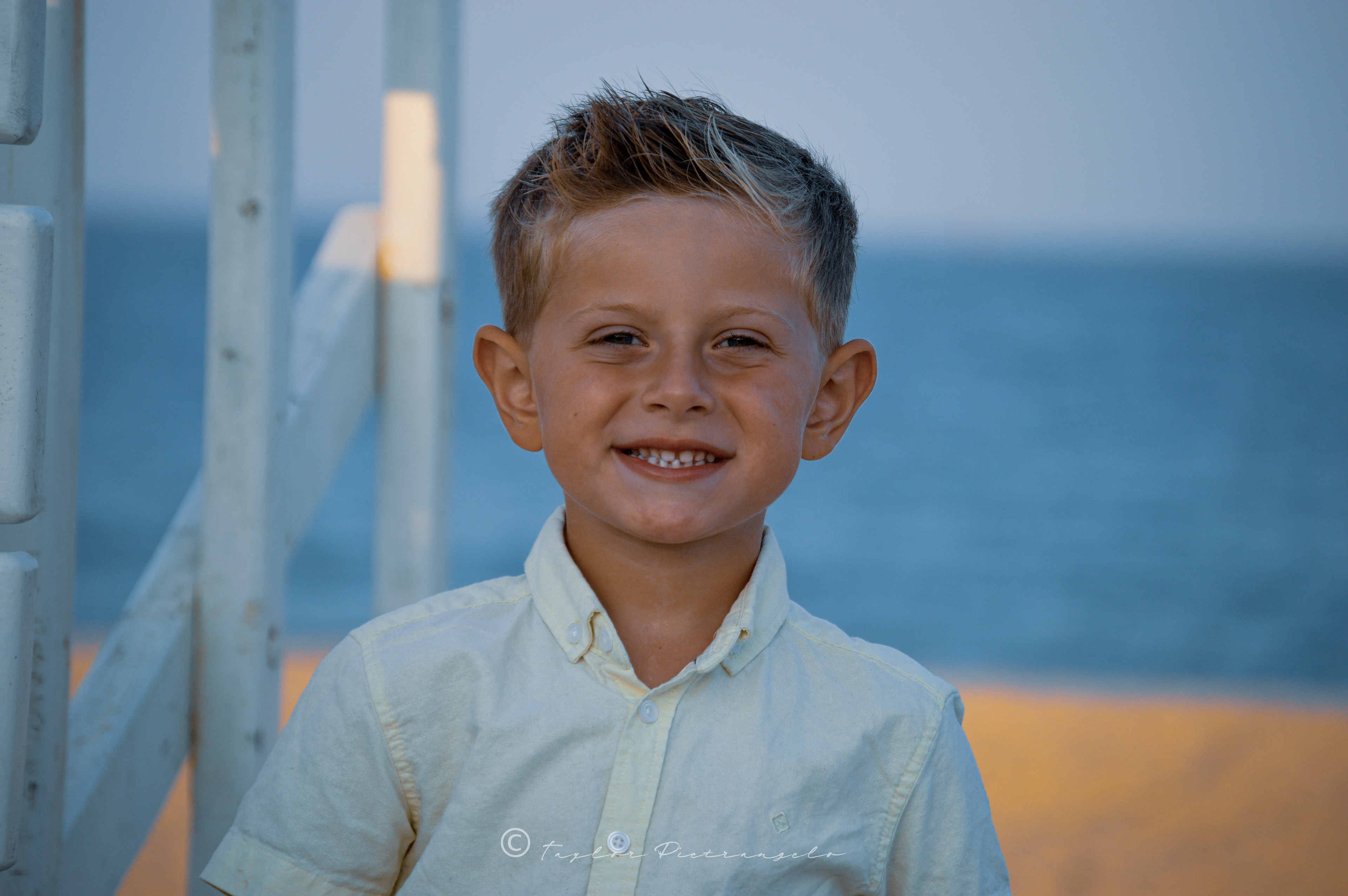 (C) COPYRIGHT 2020 TAYLOR M PIETRANGELO All Rights Reserved