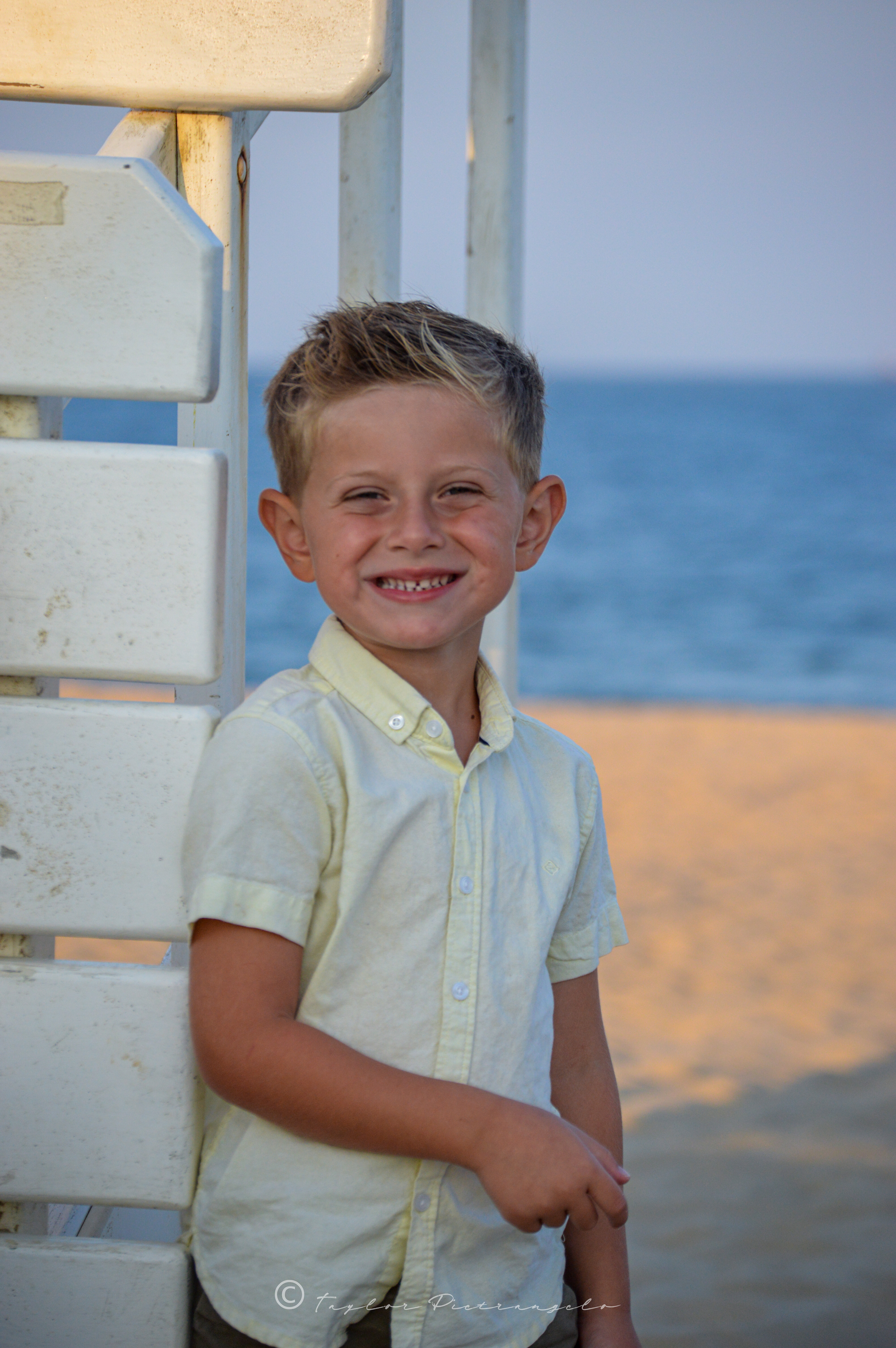 (C) COPYRIGHT 2020 TAYLOR M PIETRANGELO All Rights Reserved