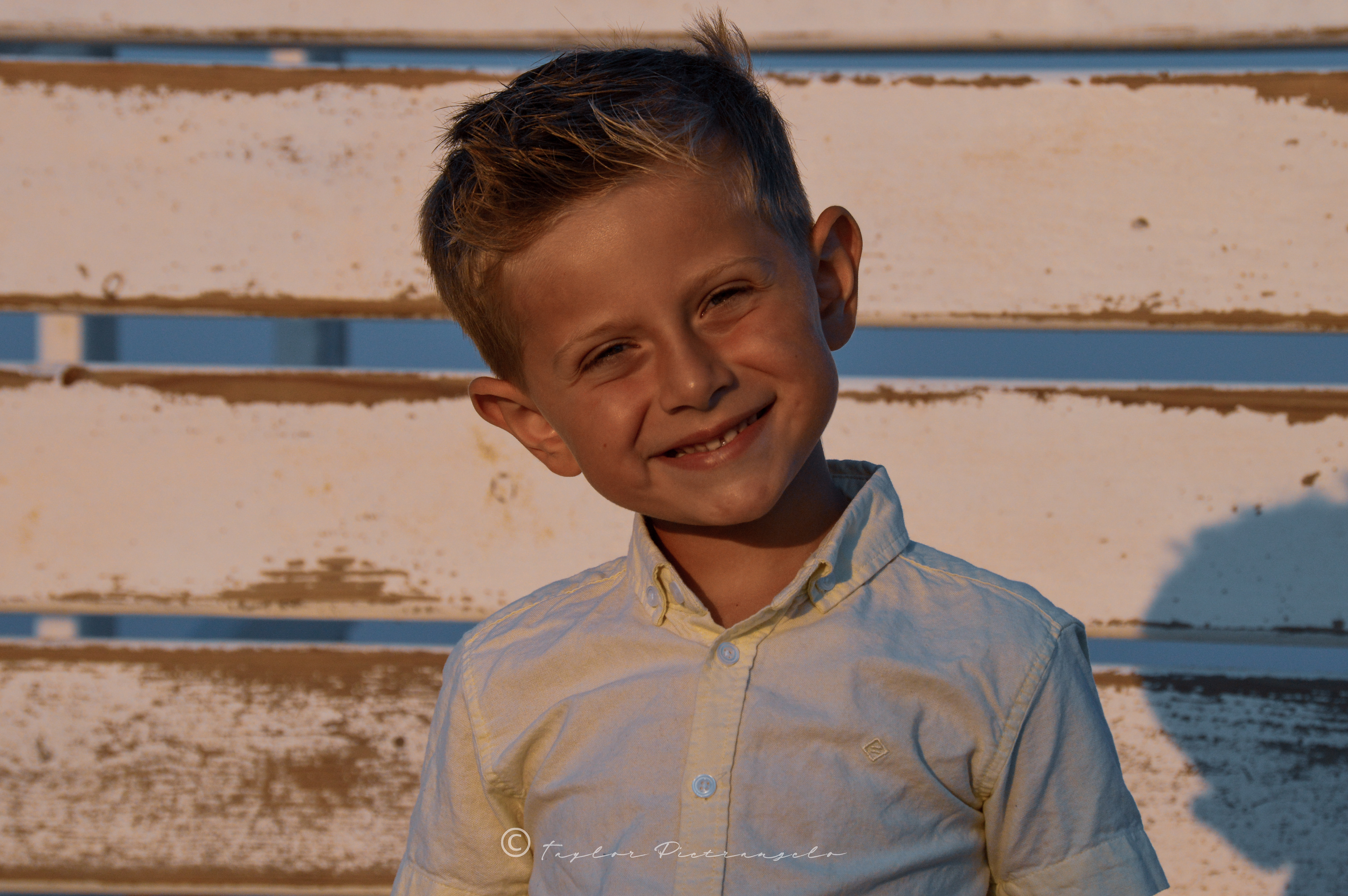 (C) COPYRIGHT 2020 TAYLOR M PIETRANGELO All Rights Reserved