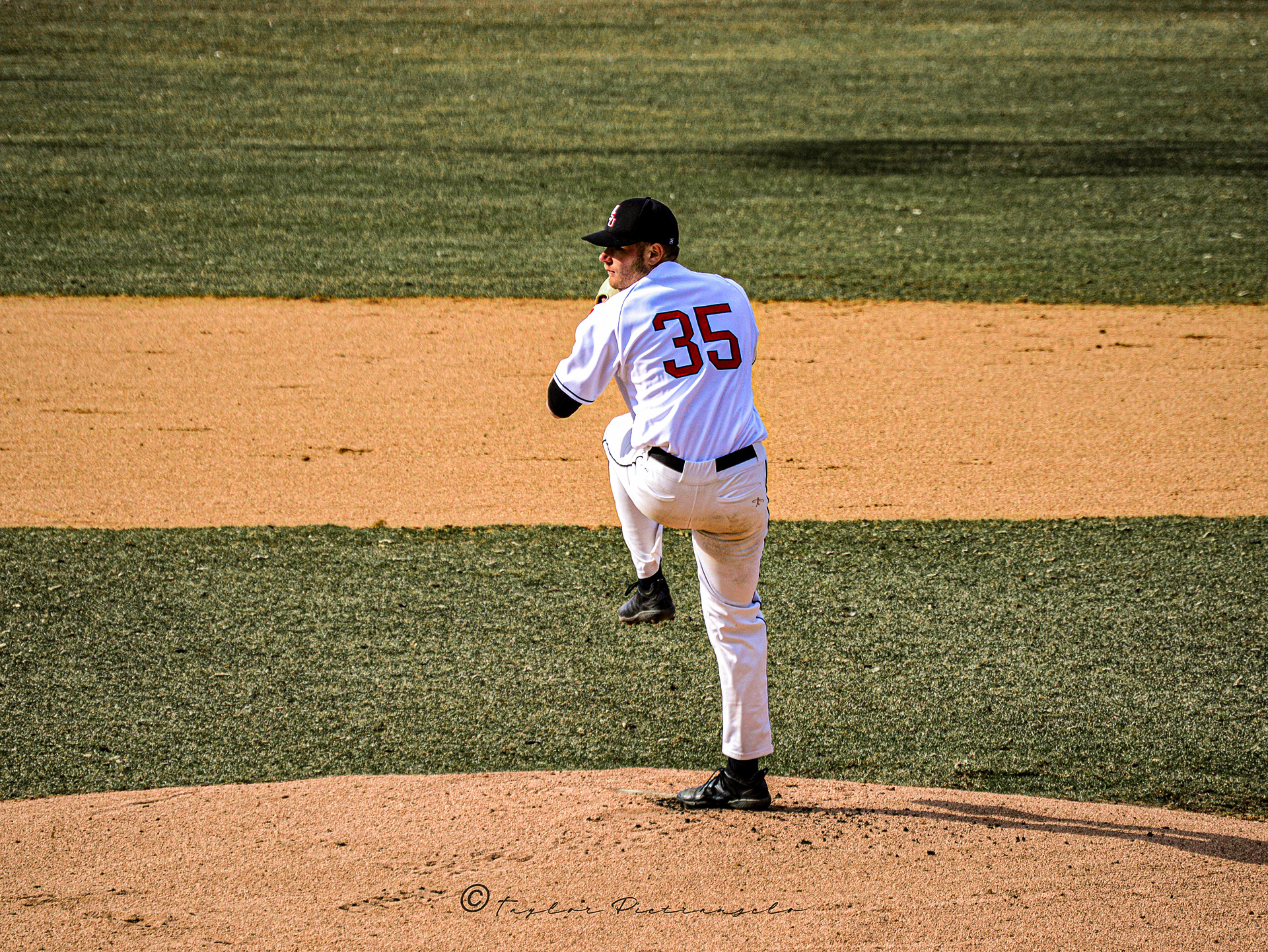 (C) COPYRIGHT 2019 TAYLOR M PIETRANGELO_MSU Baseball All Rights Reserved