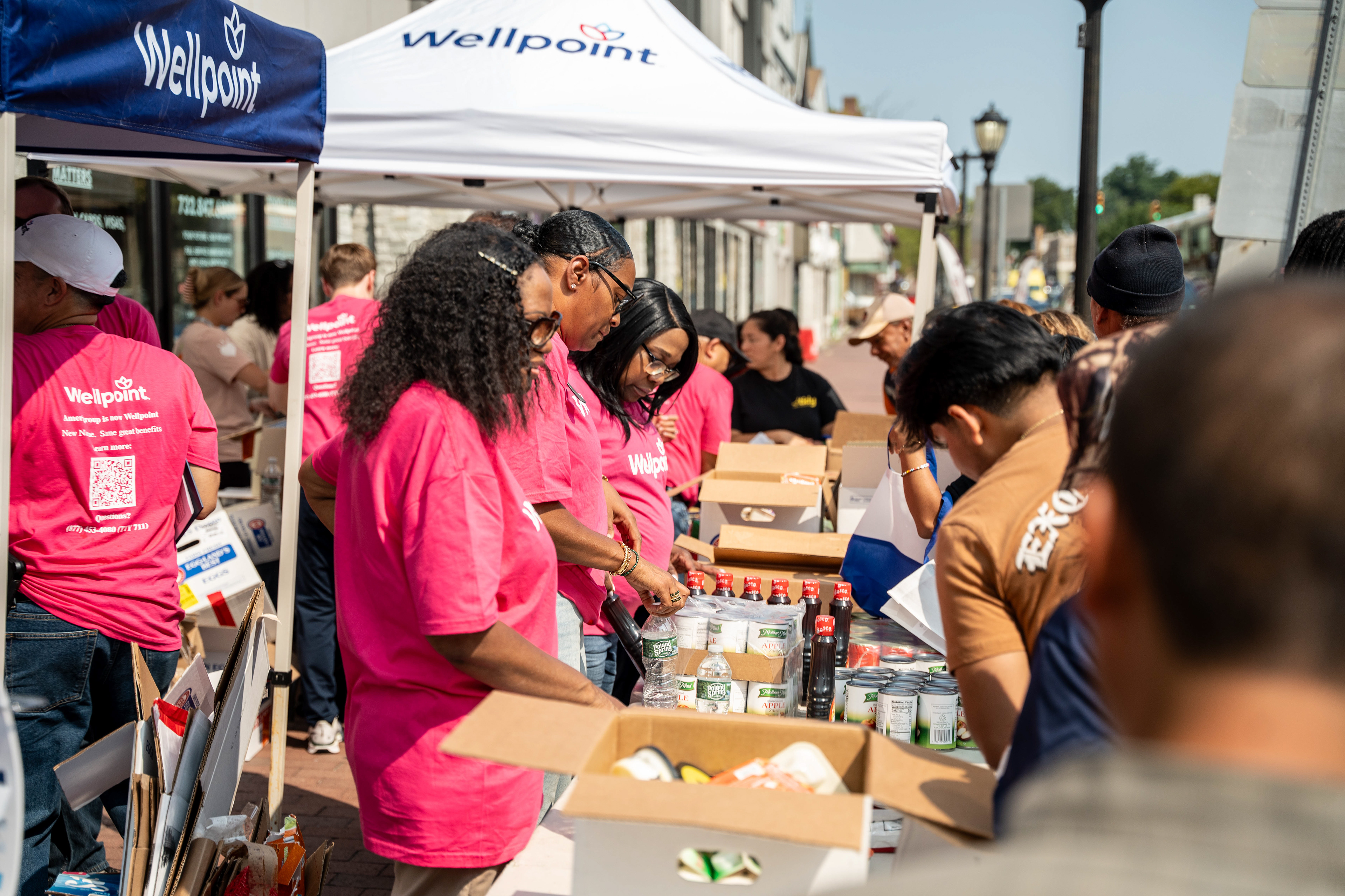 2024 Wellpoint Food Distribution 