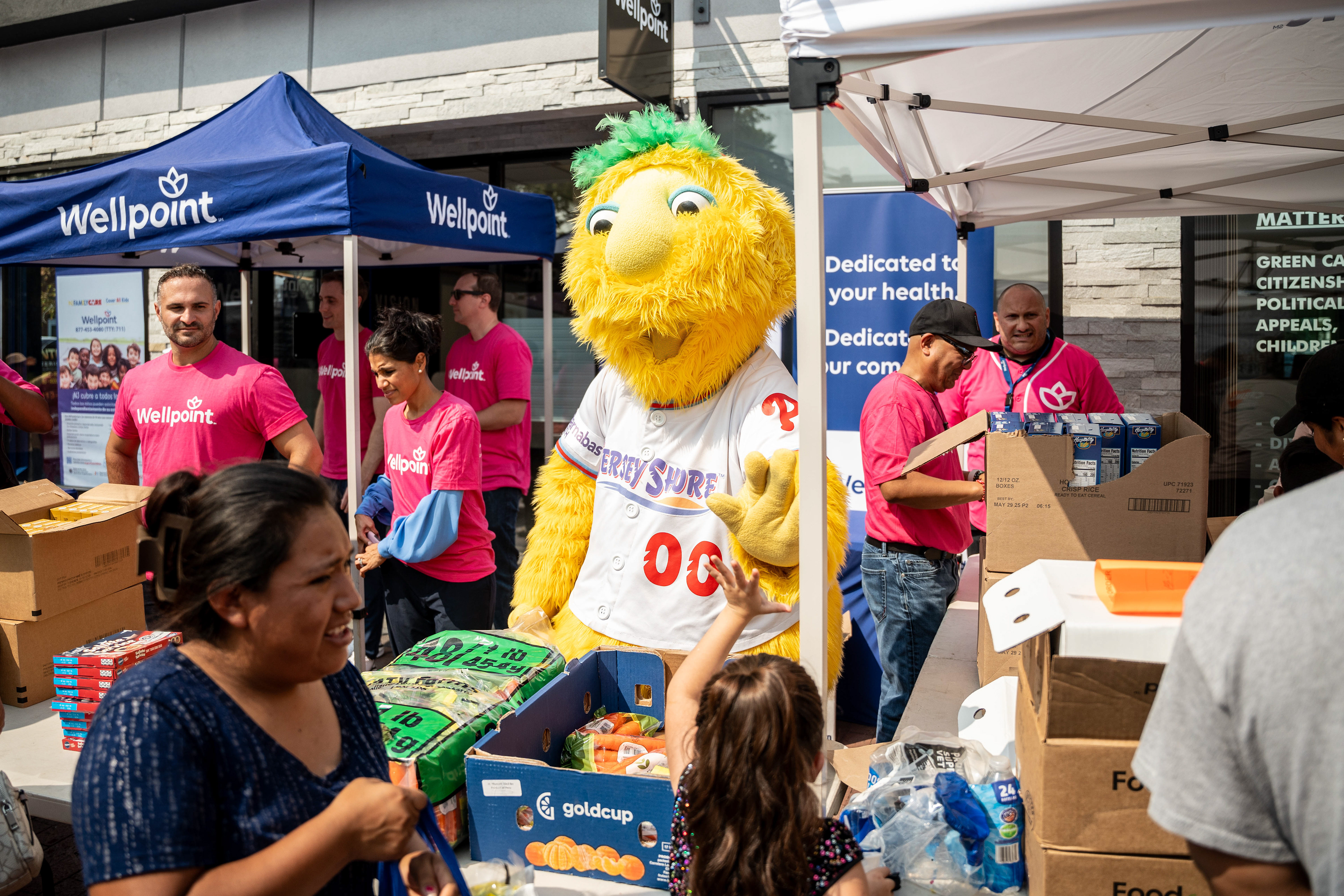 2024 Wellpoint Food Distribution 