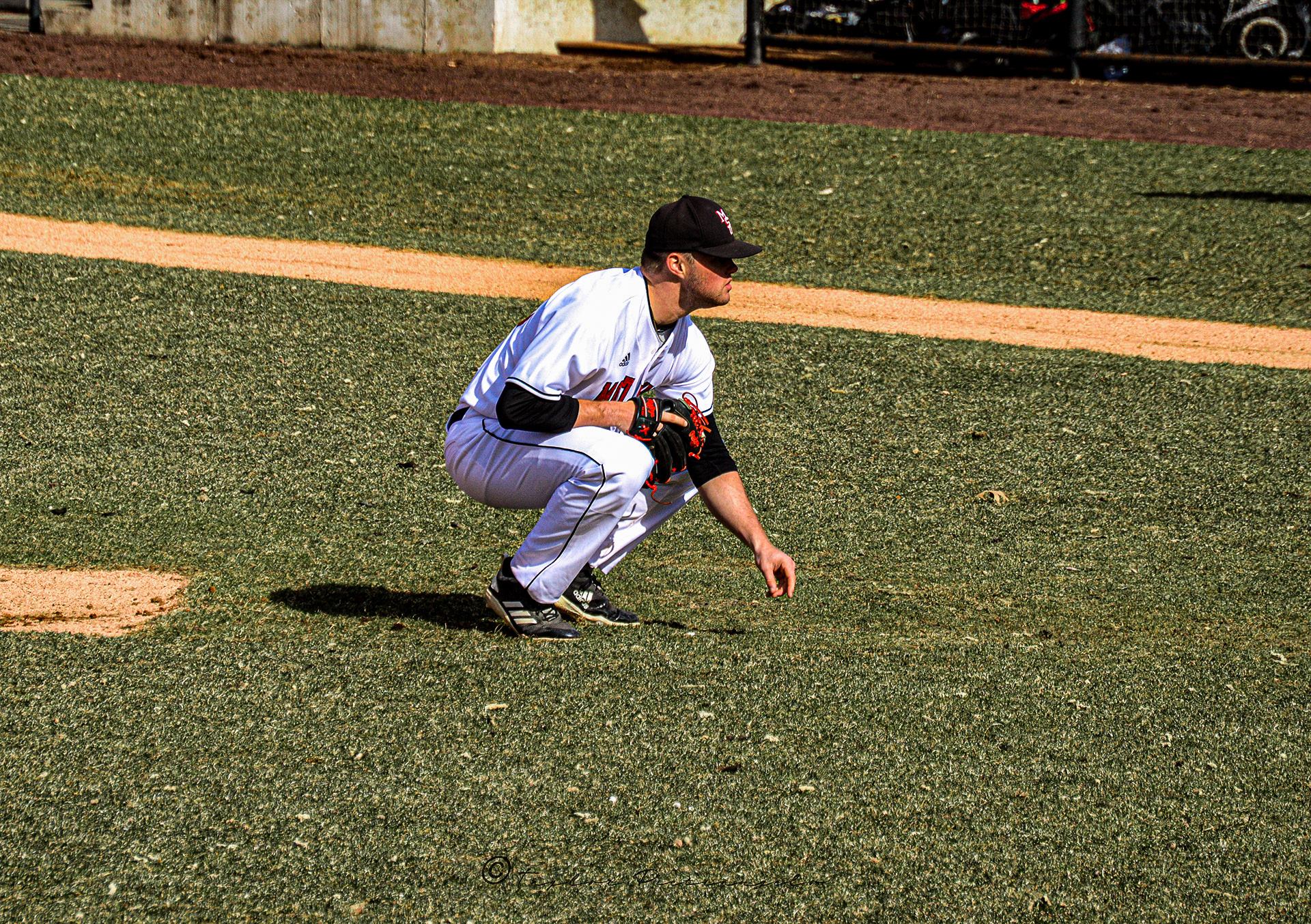 (C) COPYRIGHT 2019 TAYLOR M PIETRANGELO_MSU Baseball All Rights Reserved