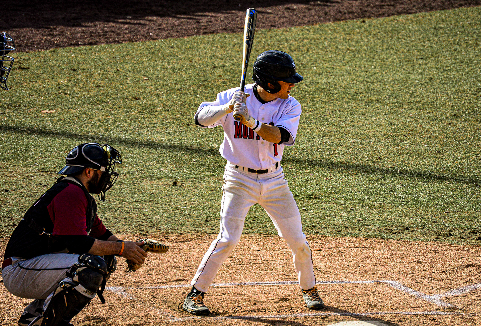 (C) COPYRIGHT 2019 TAYLOR M PIETRANGELO_MSU Baseball All Rights Reserved