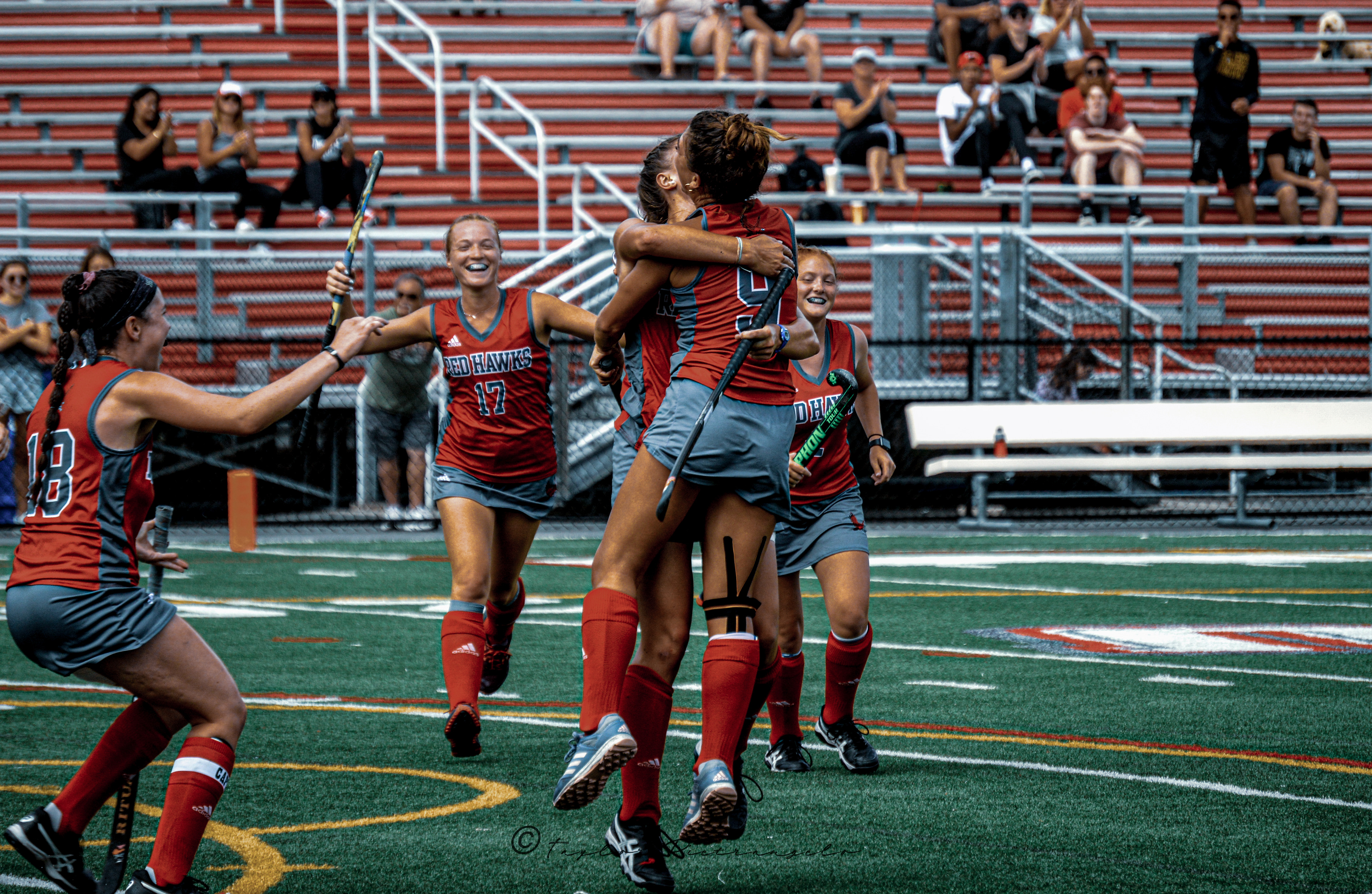 (C) COPYRIGHT 2019 TAYLOR M PIETRANGELO_MSU Field Hockey All Rights Reserved
