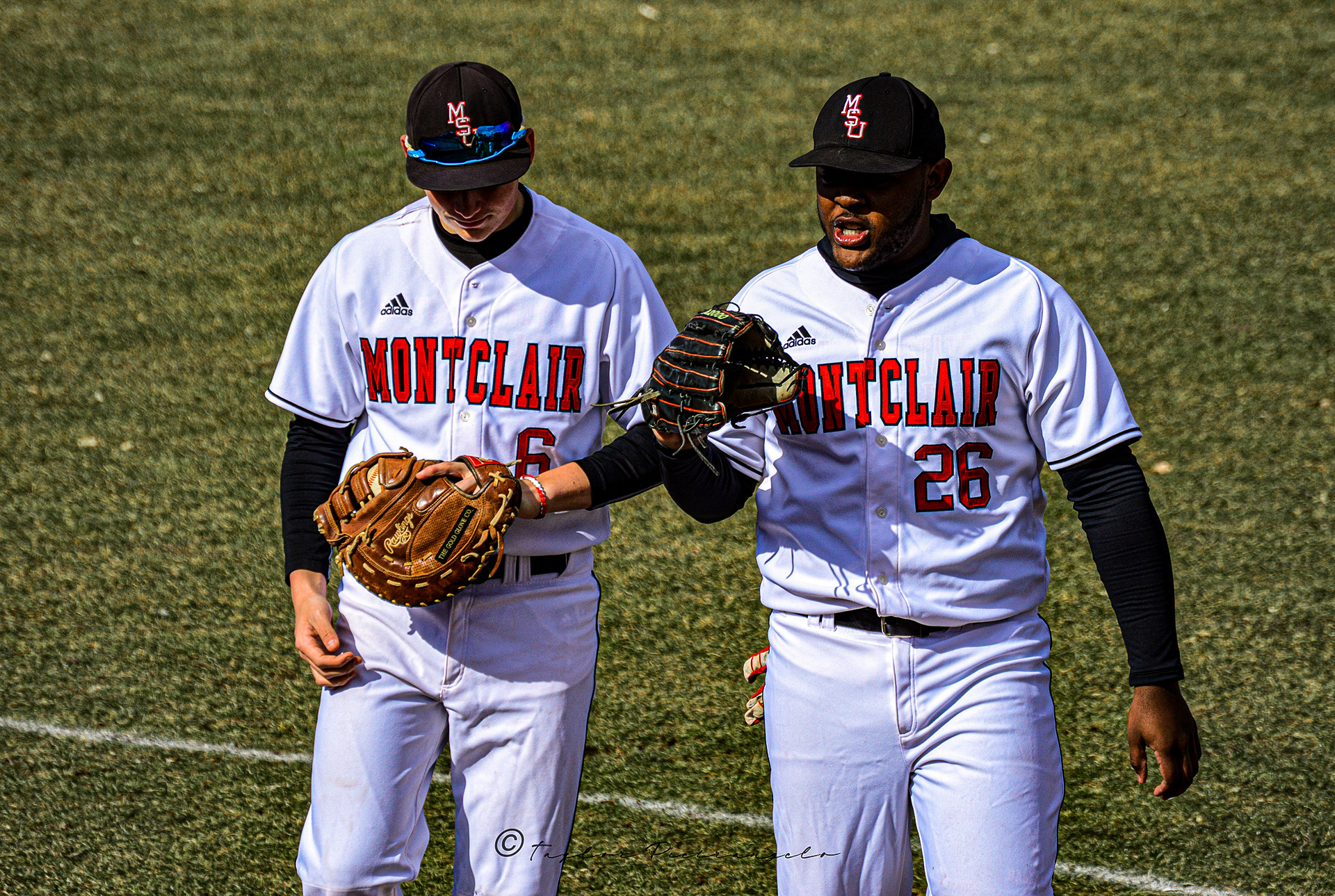 (C) COPYRIGHT 2019 TAYLOR M PIETRANGELO_MSU Baseball All Rights Reserved