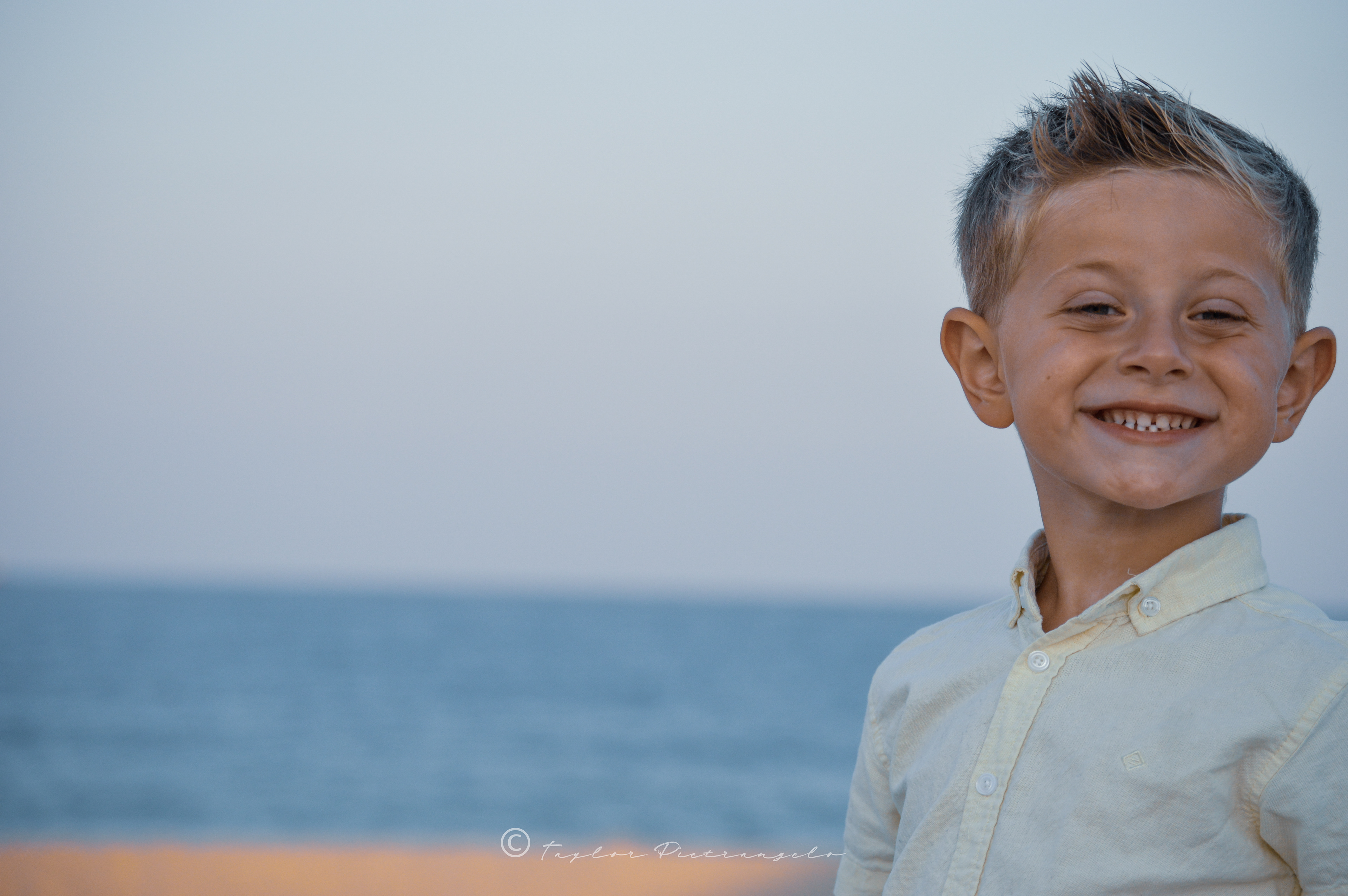 (C) COPYRIGHT 2020 TAYLOR M PIETRANGELO All Rights Reserved