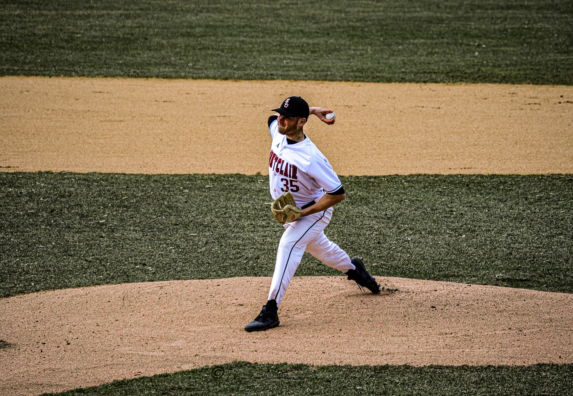 (C) COPYRIGHT 2019 TAYLOR M PIETRANGELO_MSU Baseball All Rights Reserved