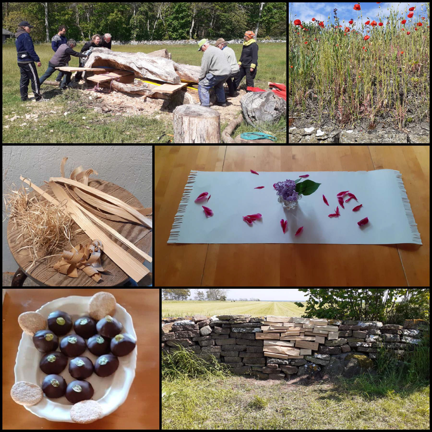 Surprise Lab workshop 2022