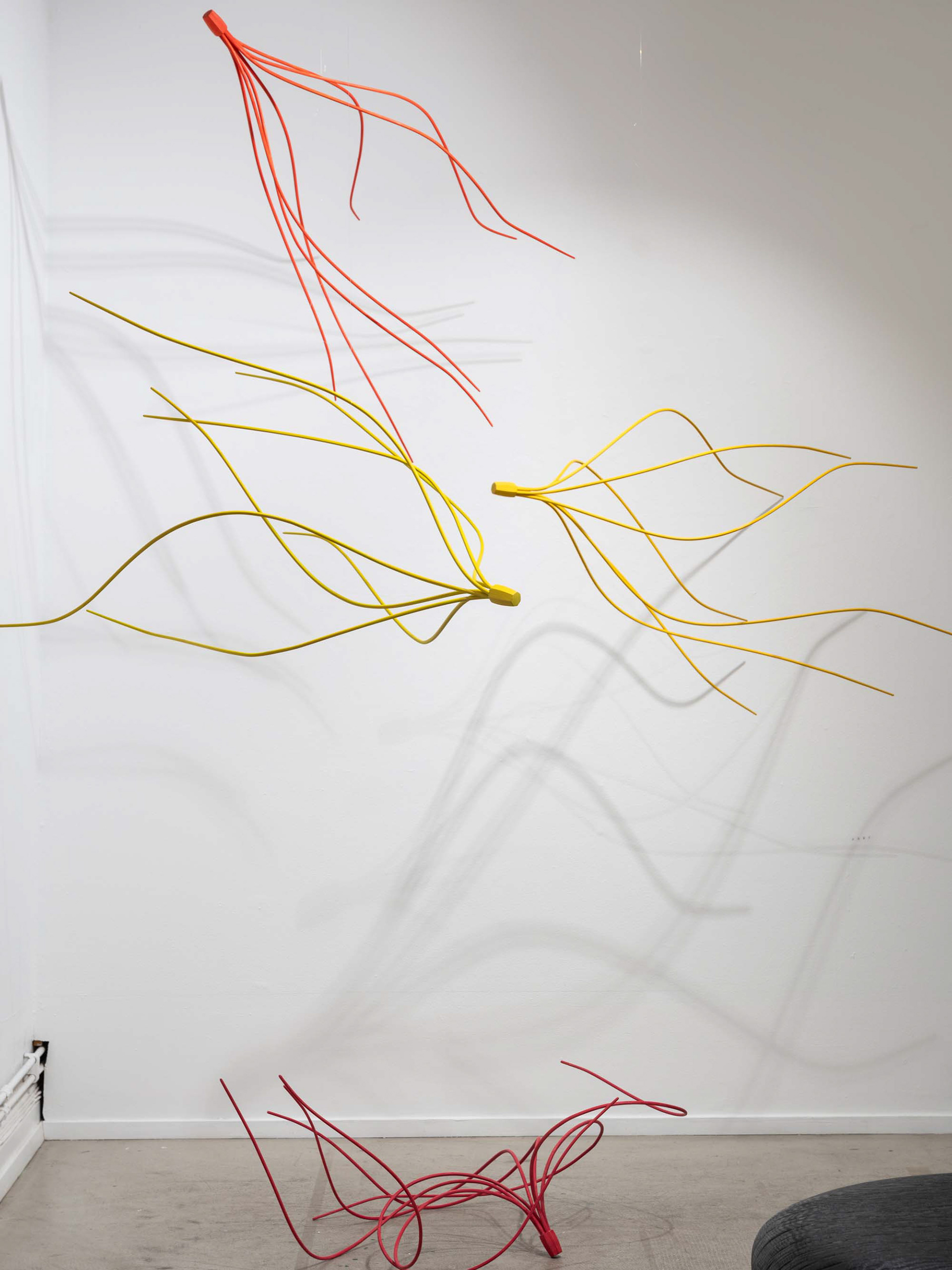 Anthesis. Foto Sebastian Waldenby