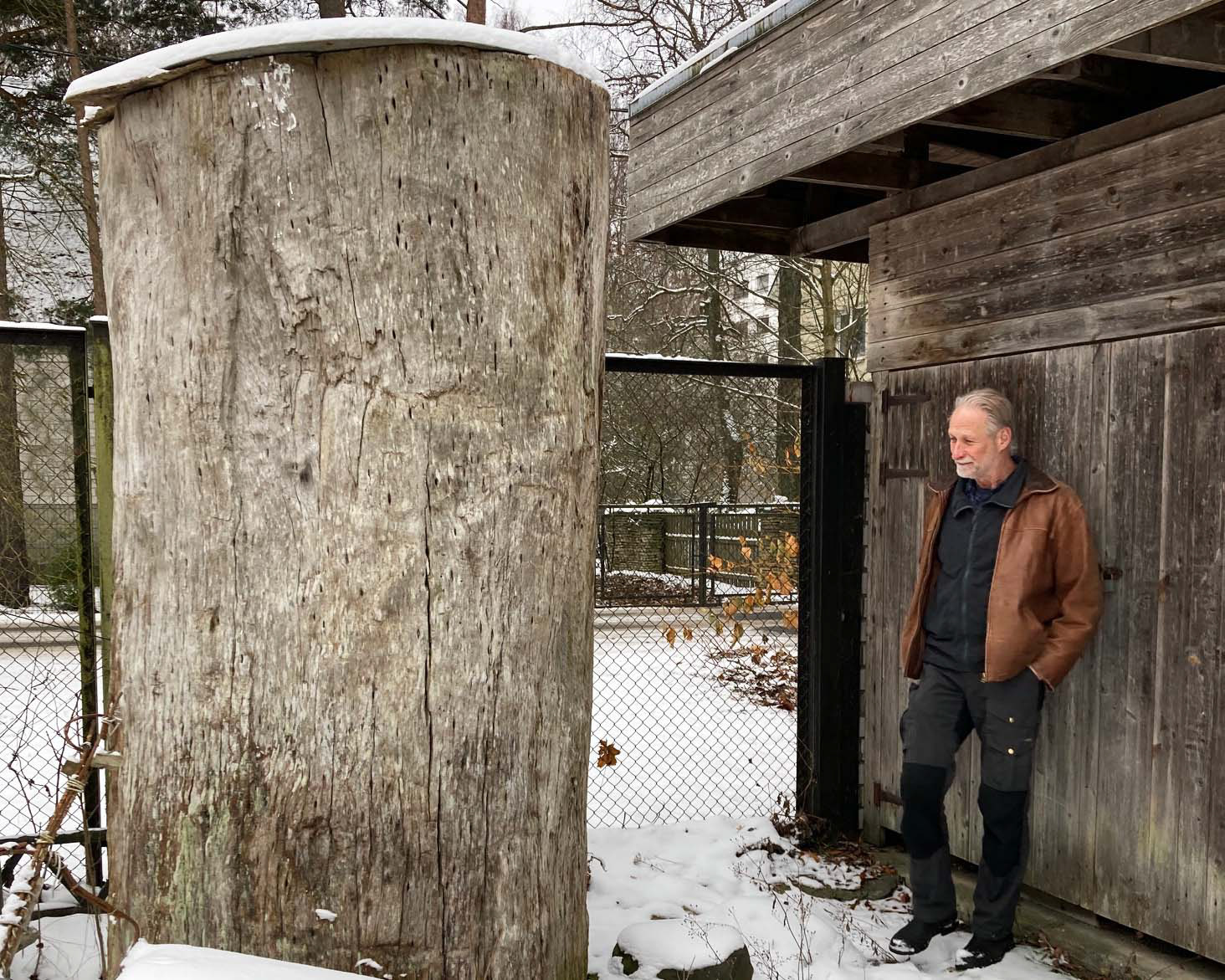 Stubben i Tallinn