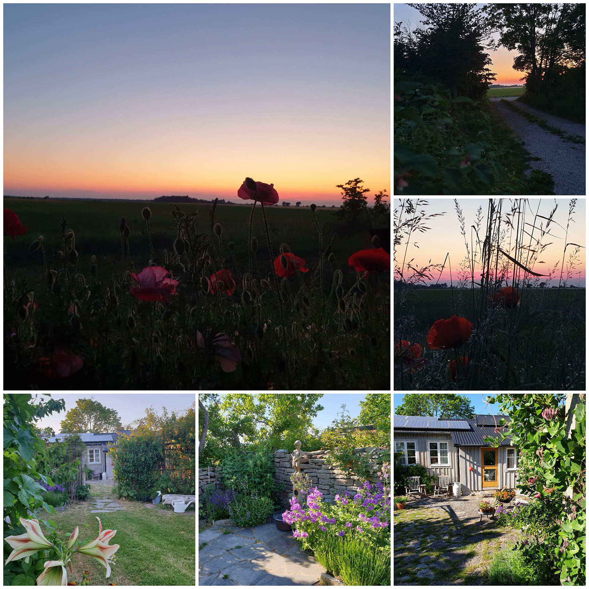 Seby, Öland June 2021