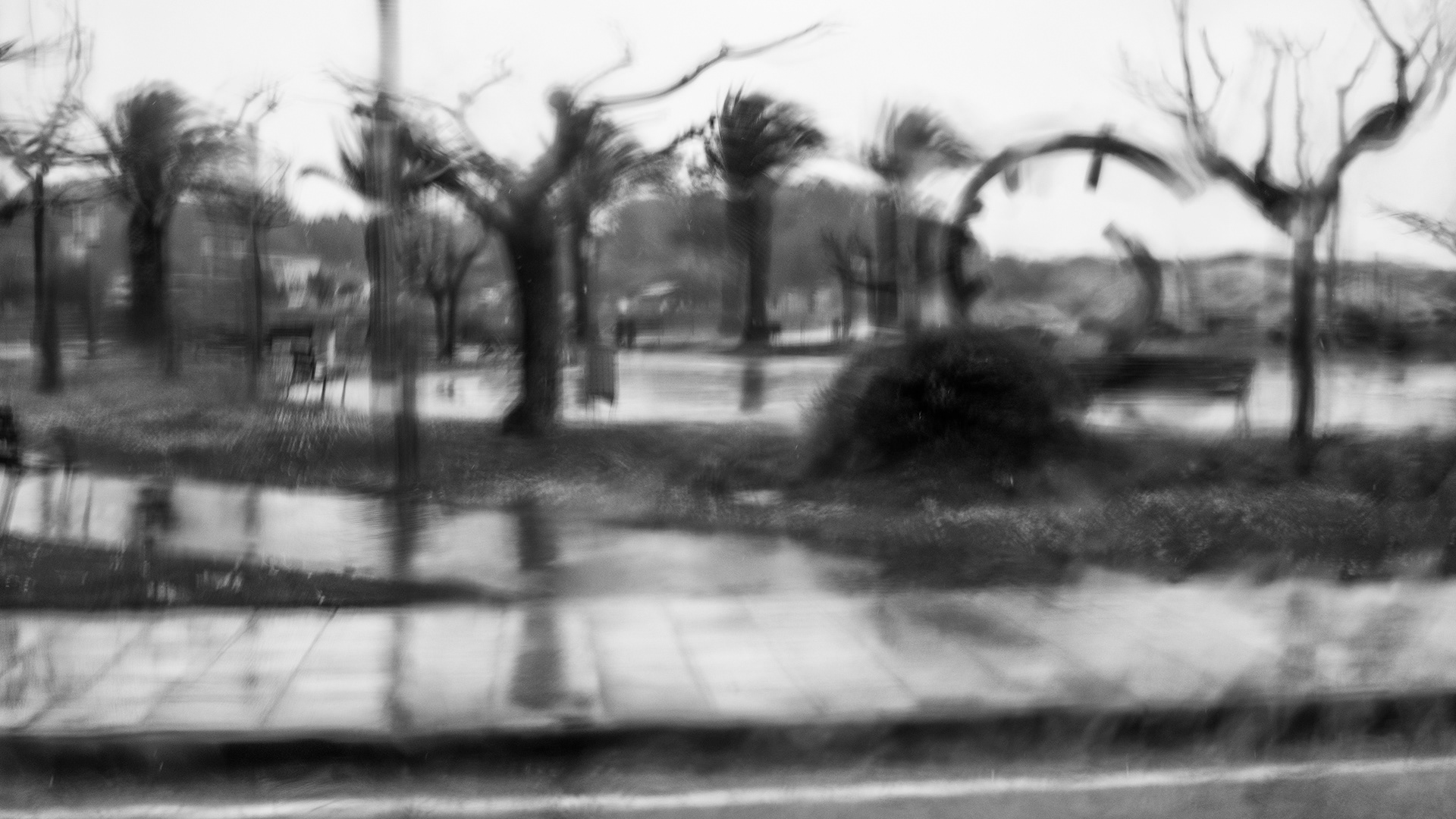 Te busqué trás los cristales mojados en la tormenta.