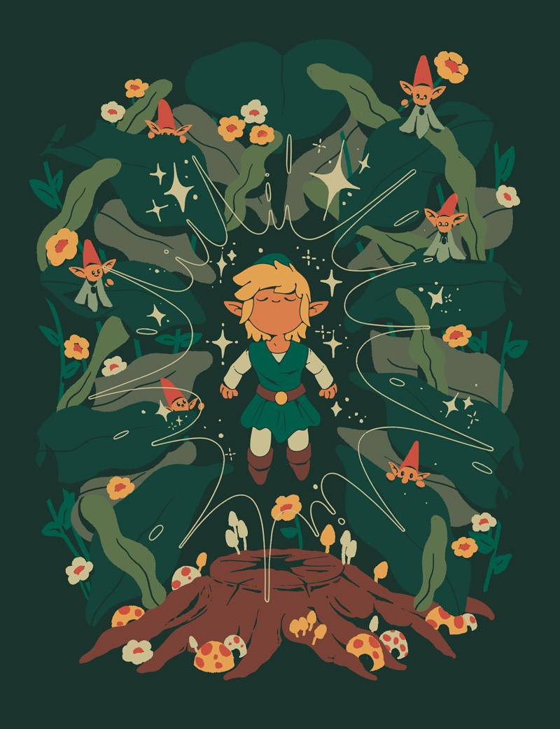 Minish Boy and Gnomes
