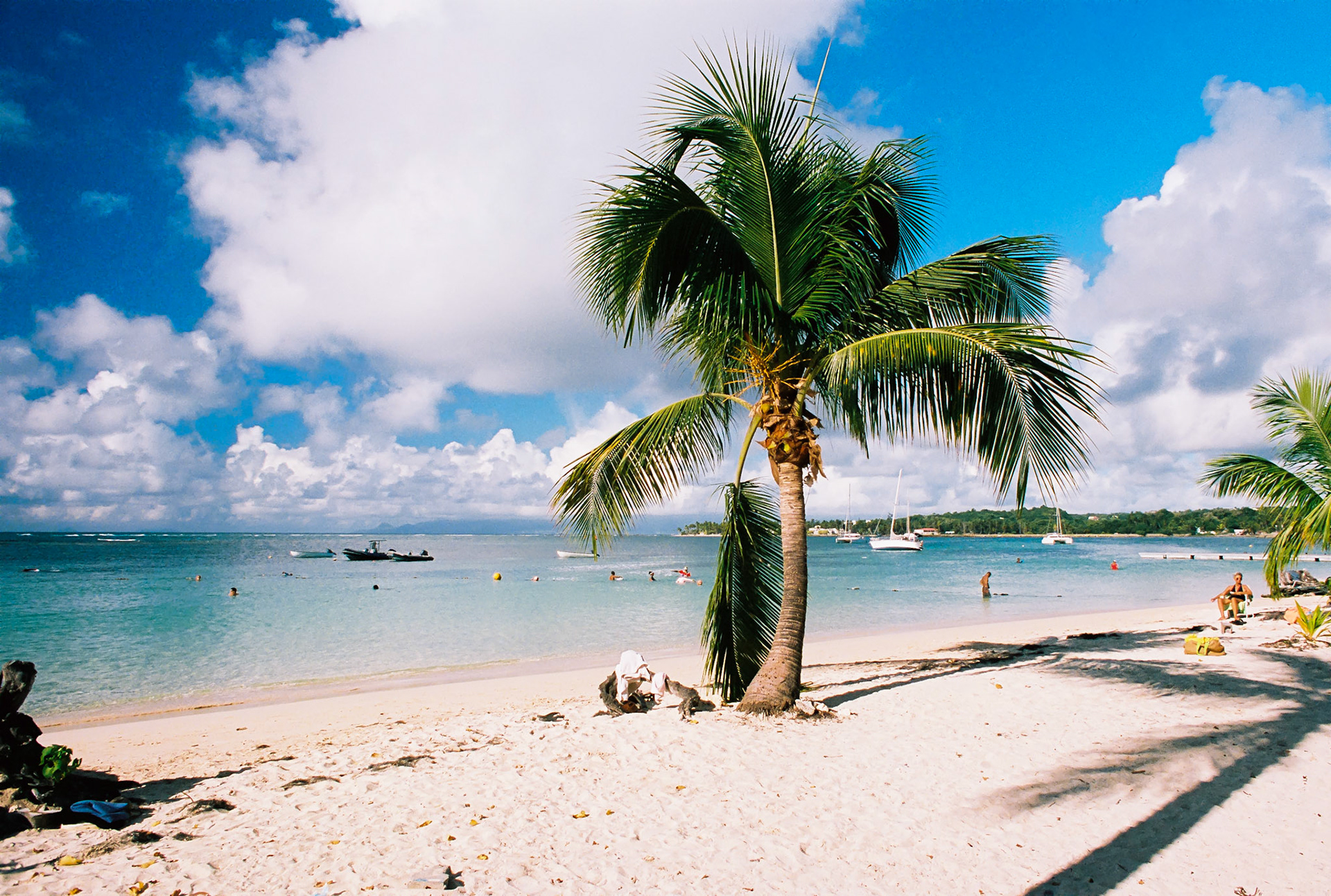 Jean-luc Assor - Thriving Guadeloupe