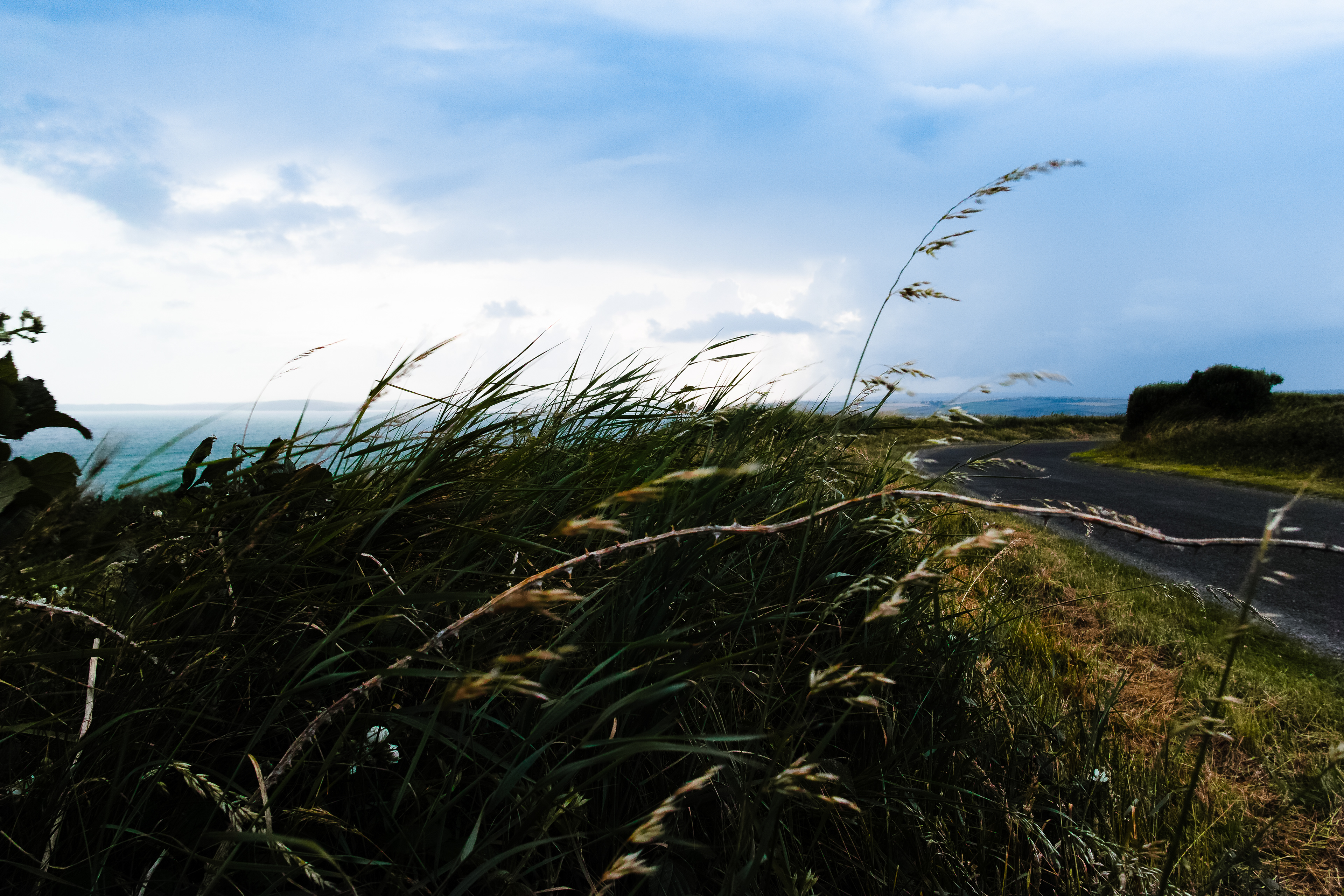 Old Head of Kinsale, Cork Co