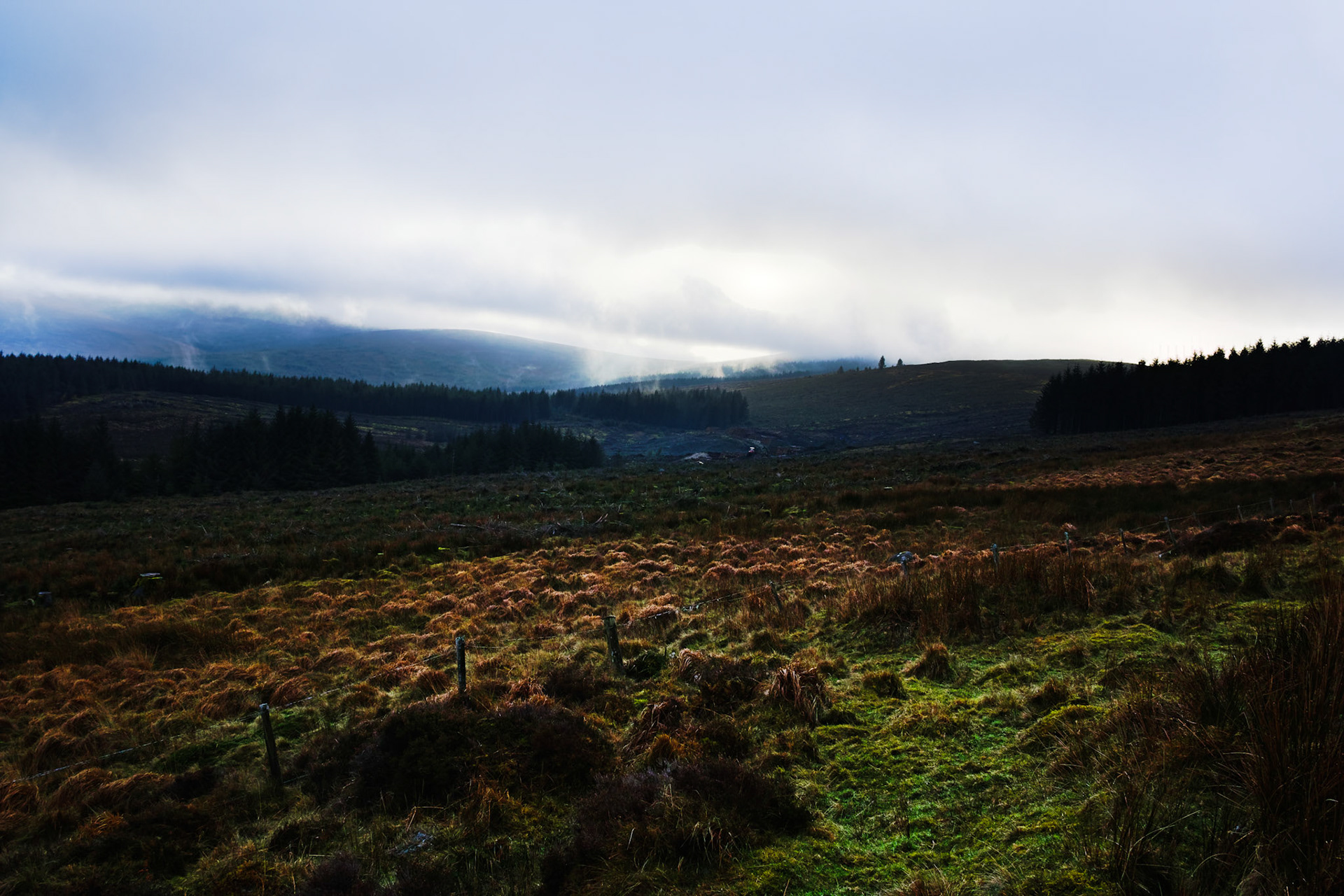 Lackan, Wicklow Co