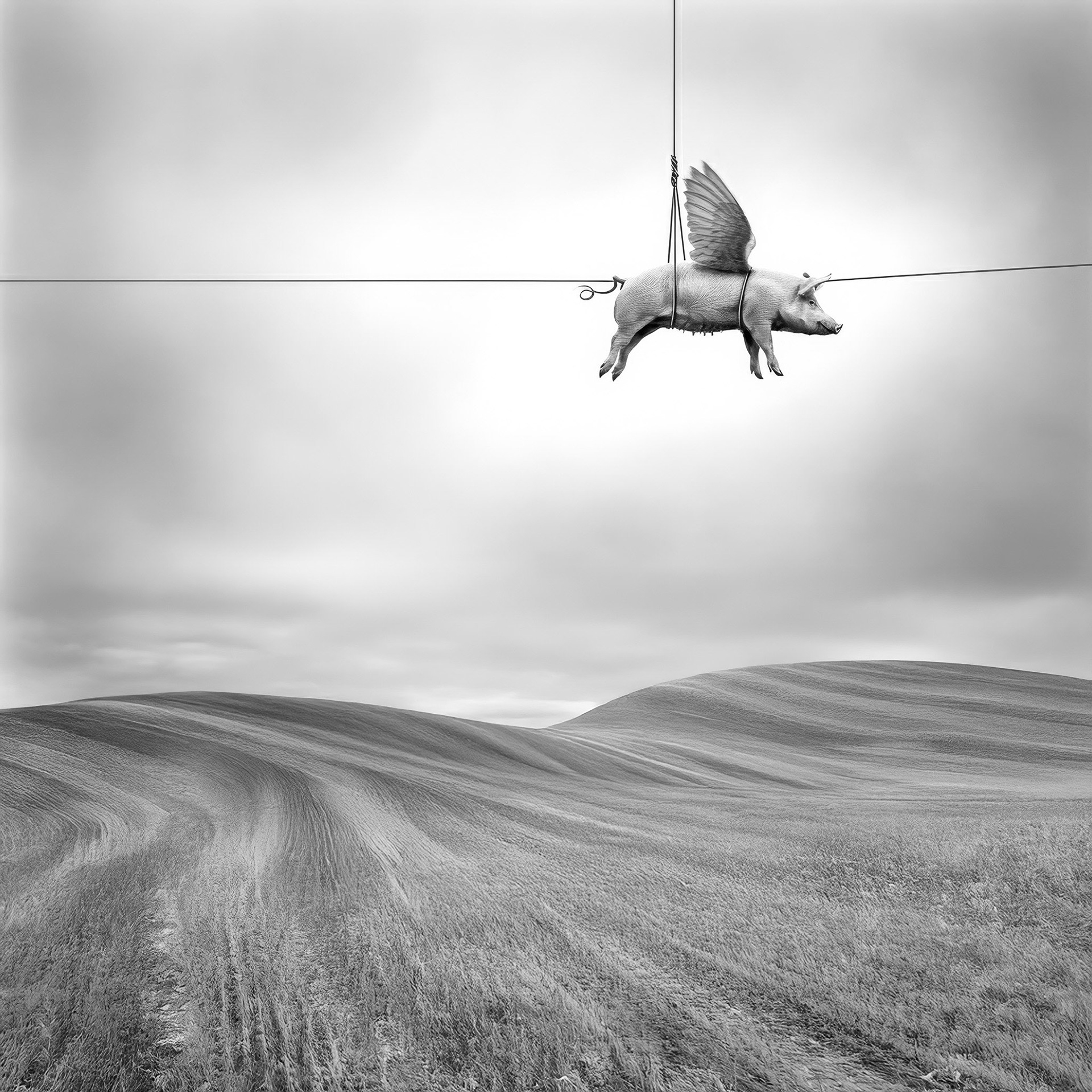 There They Go Again - Surrealism by © Bob Orsillo All Rights Reserved