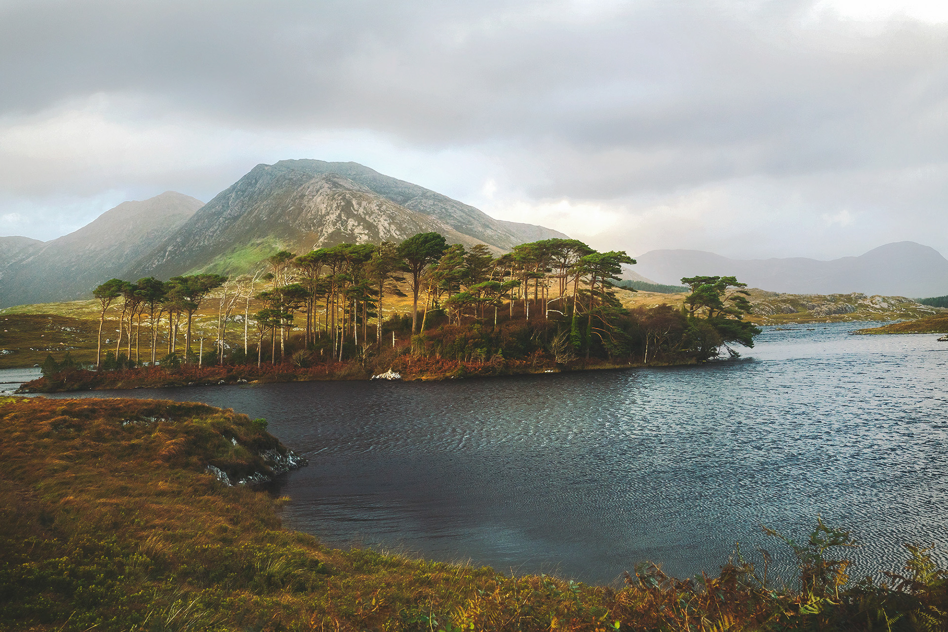 Isle of Beautiful Trees