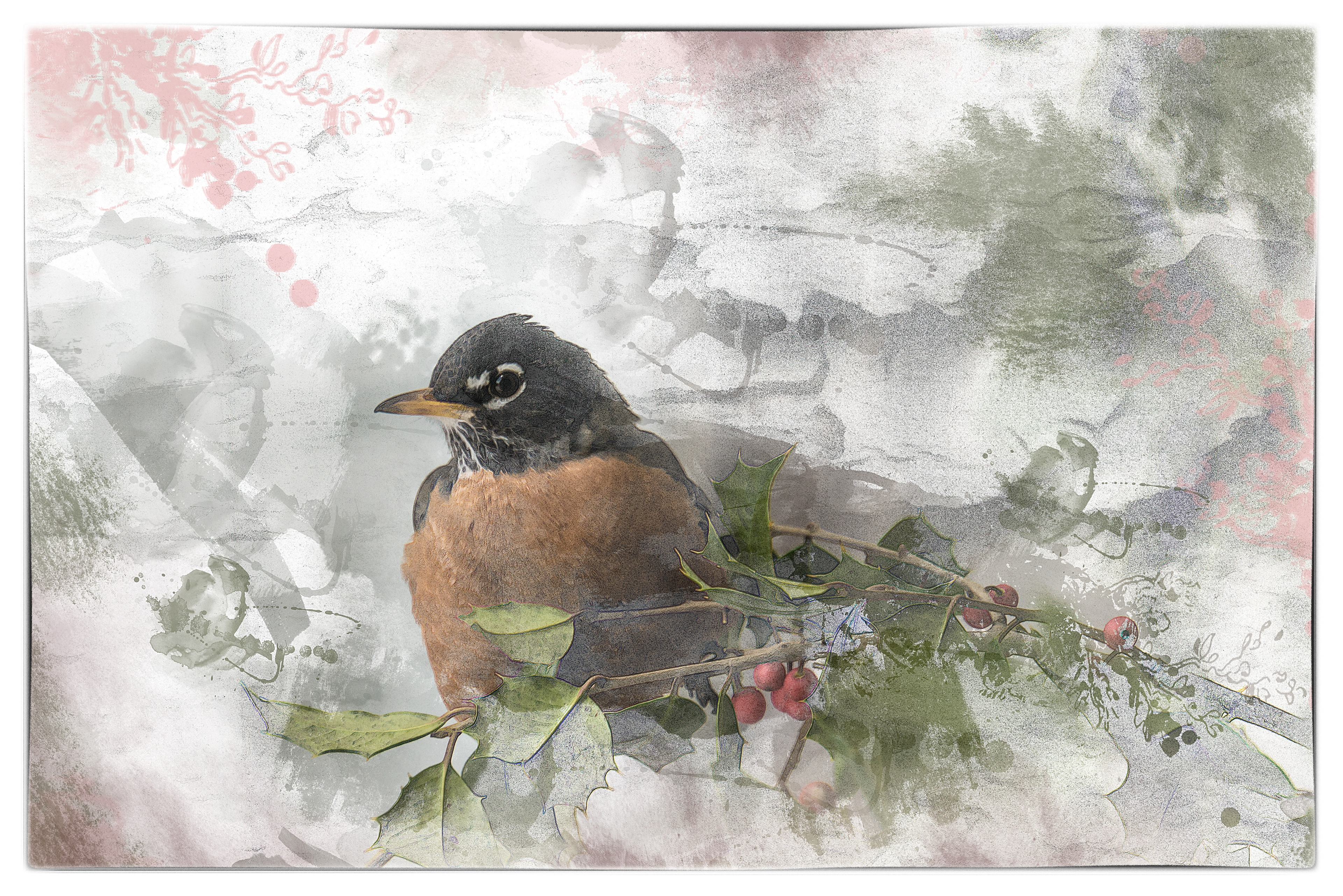 Winter Robin