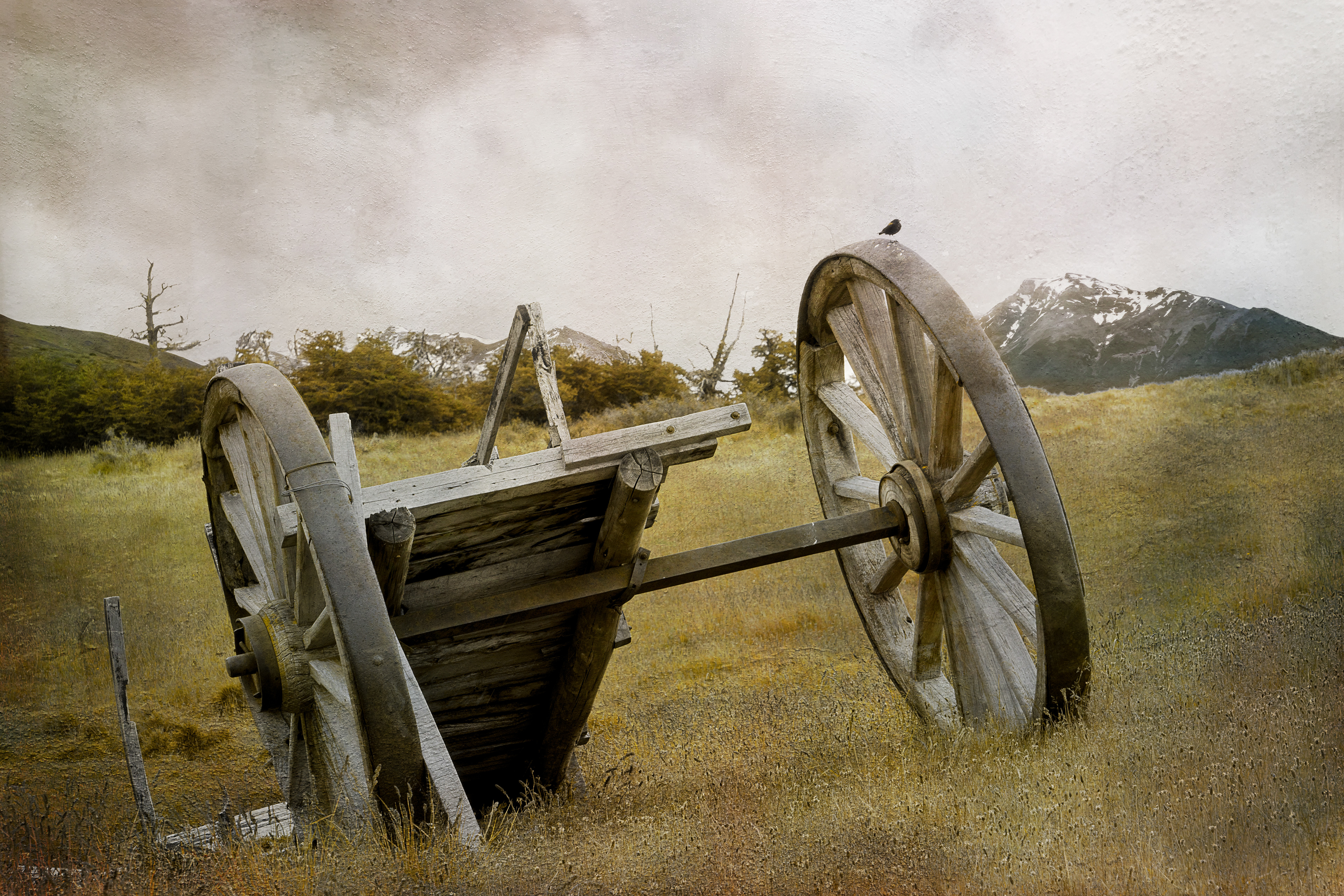 Old Cart on the Estancia