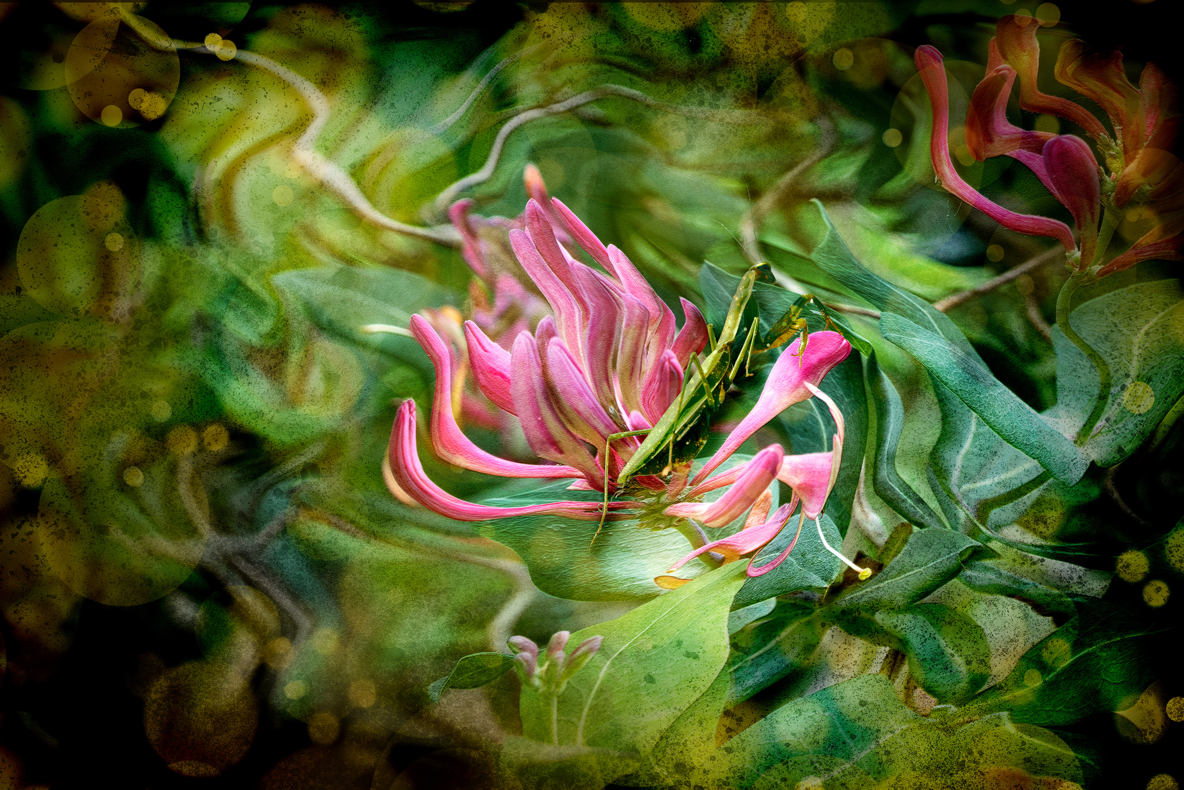 Can You See Me Now?