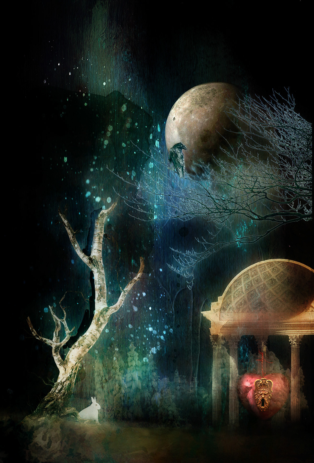 A Night in the Forest