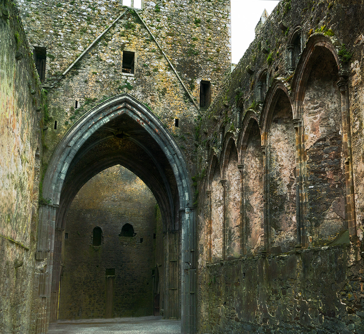 Kilkenny Castle Arches