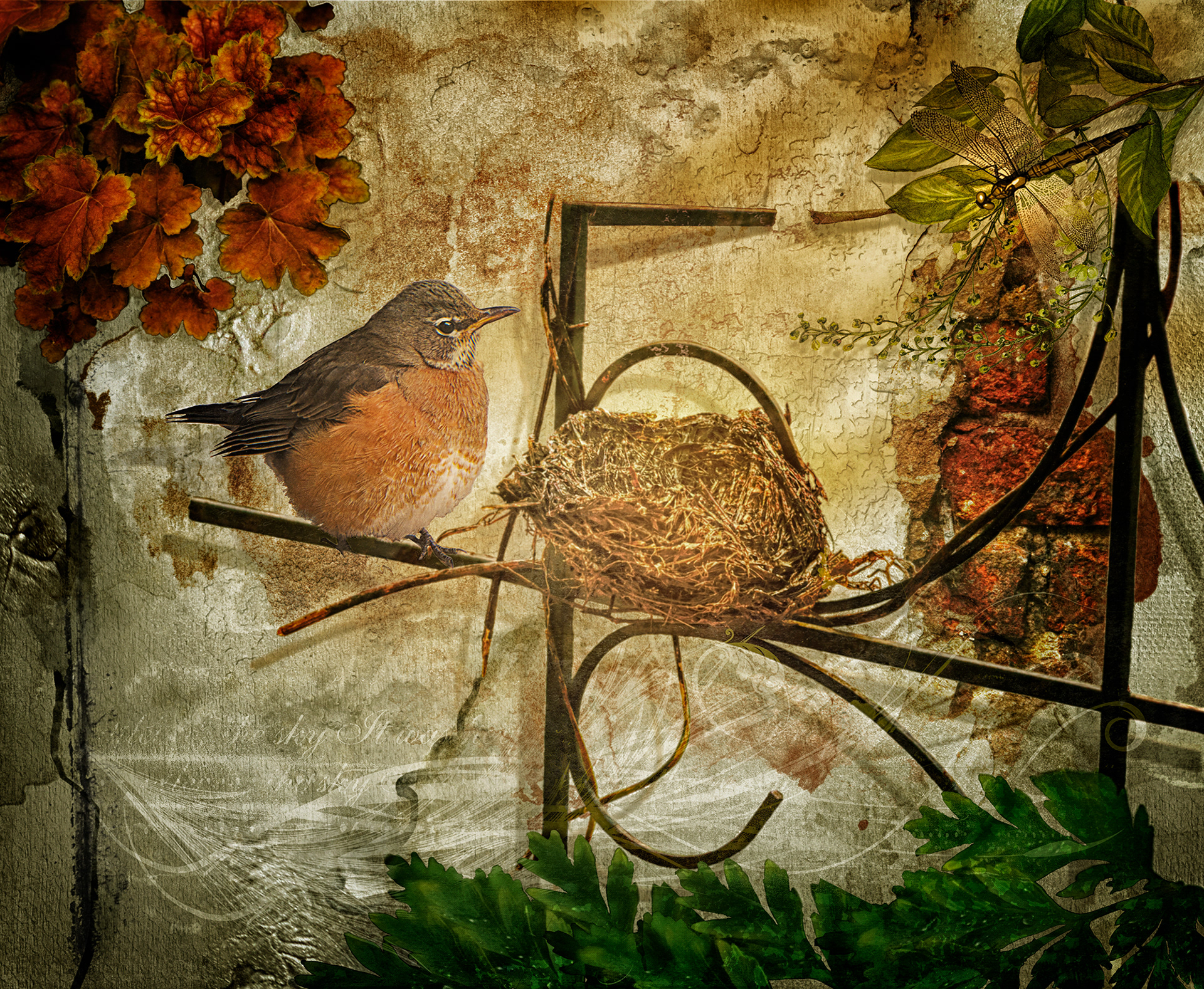 Nest by the Wall