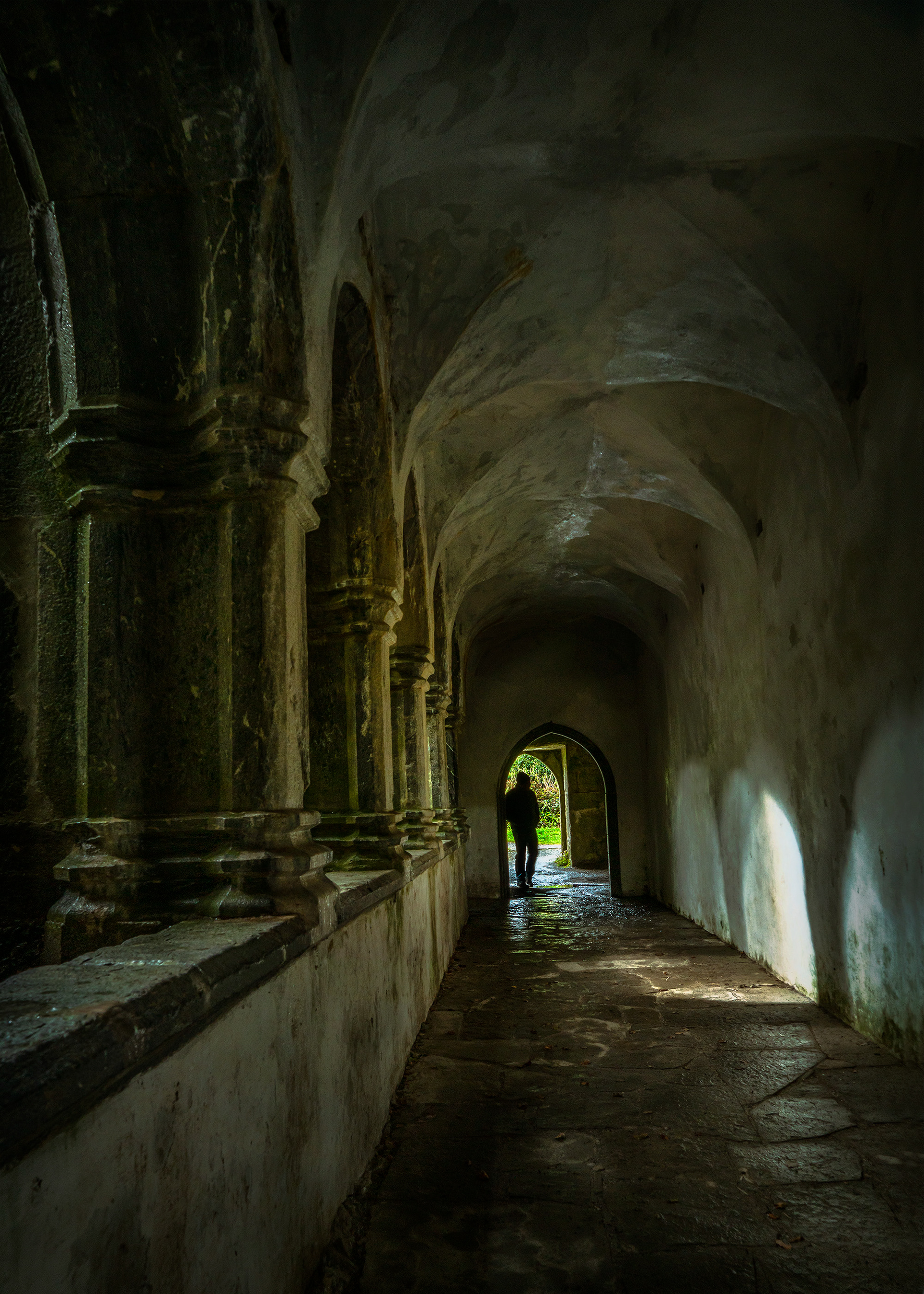 Muckross Abbey Arches