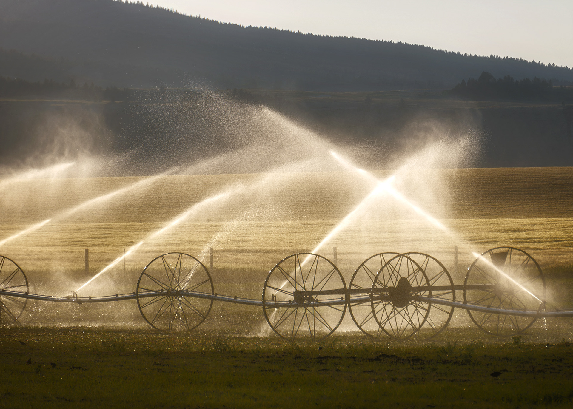 Irrigation Wheels