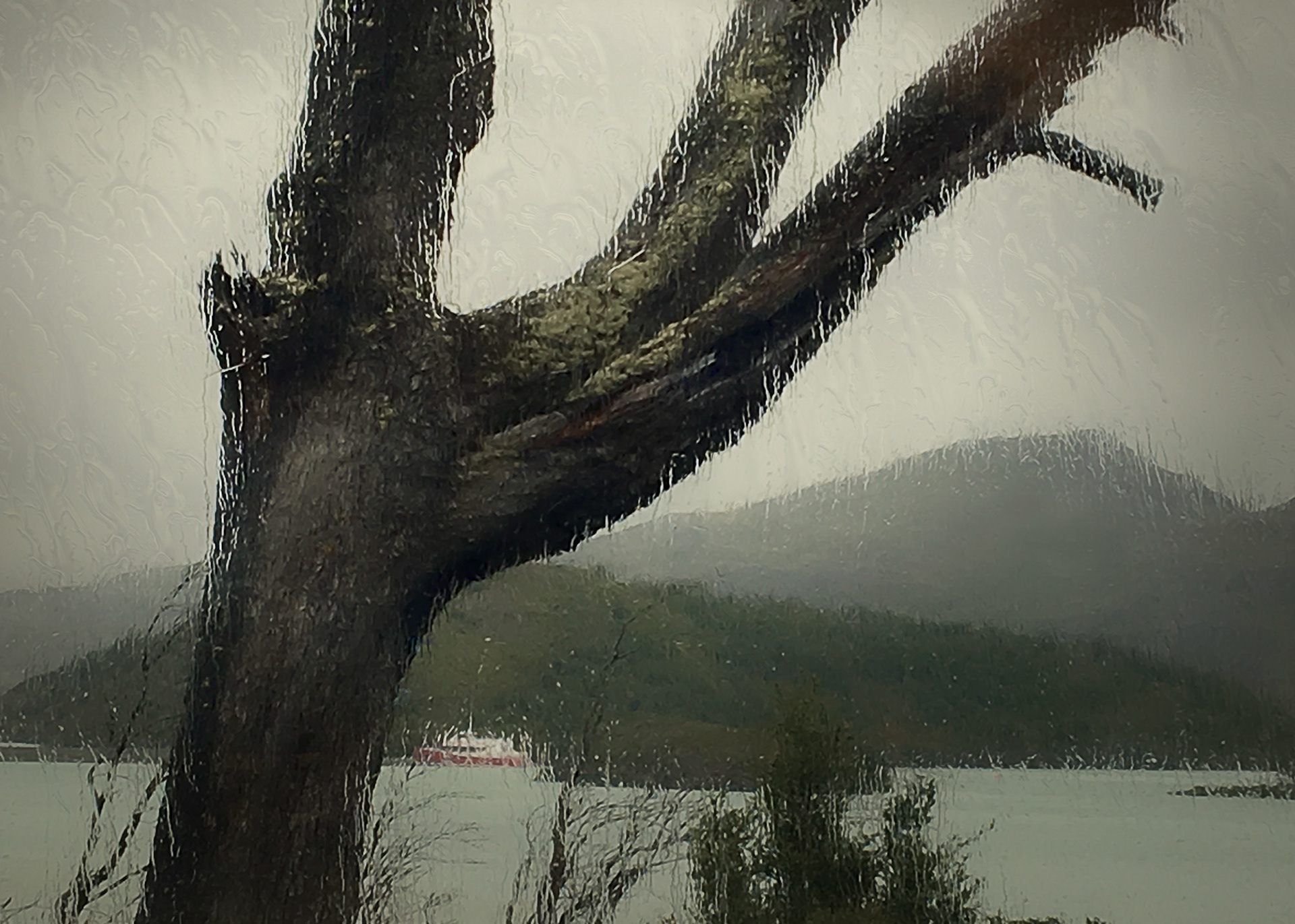 Rainy Day at Lago Bay