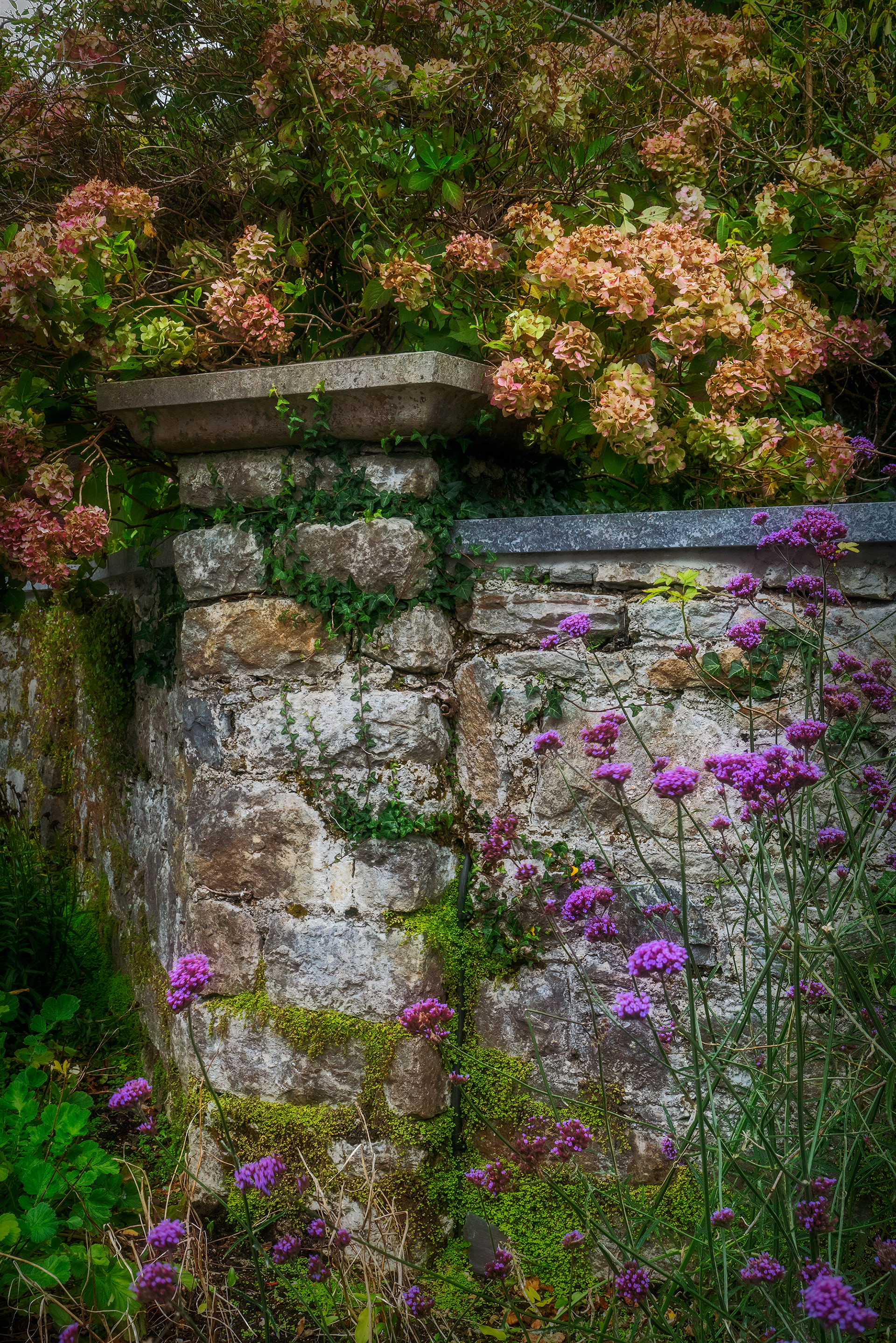 Garden Wall