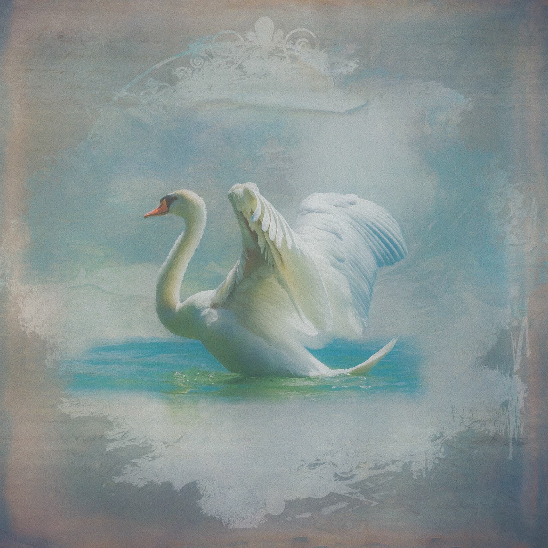 Winter Swan